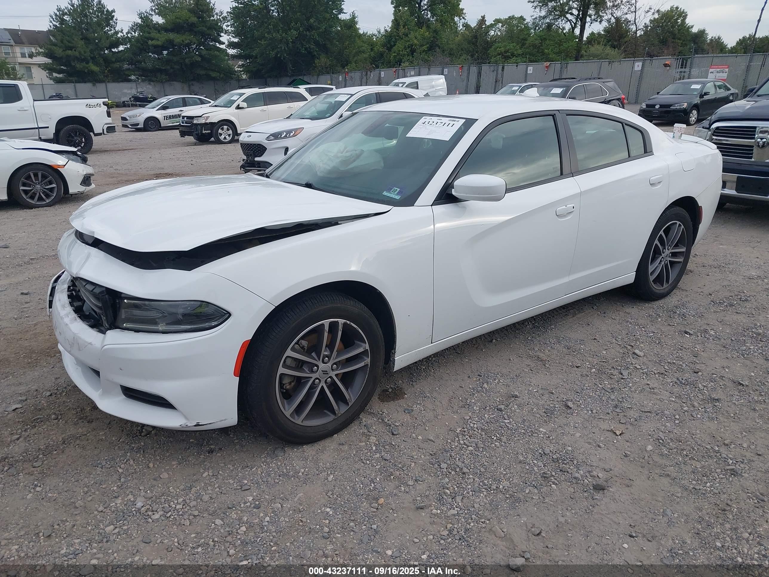 DODGE CHARGER image 2