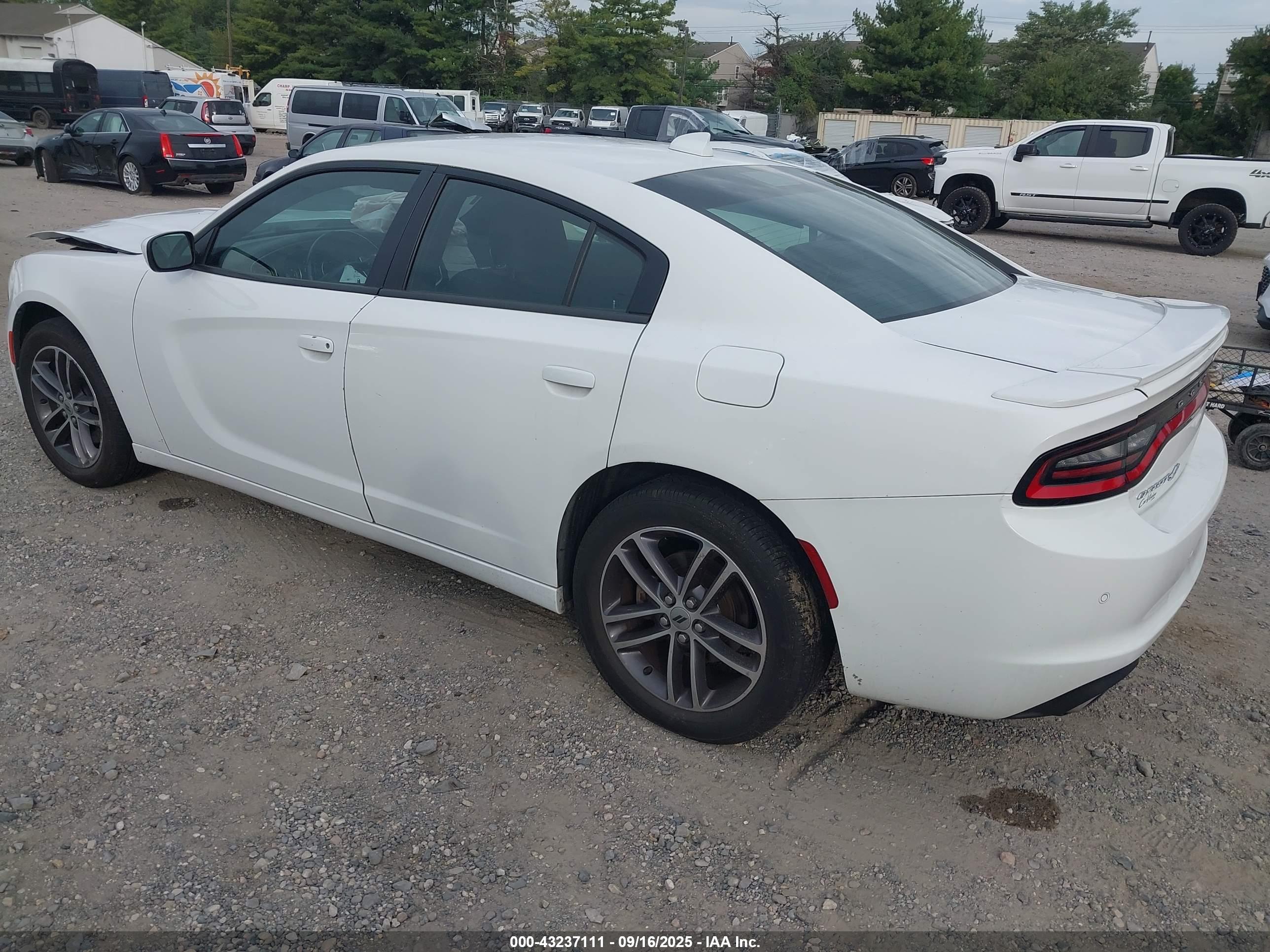 DODGE CHARGER image 3