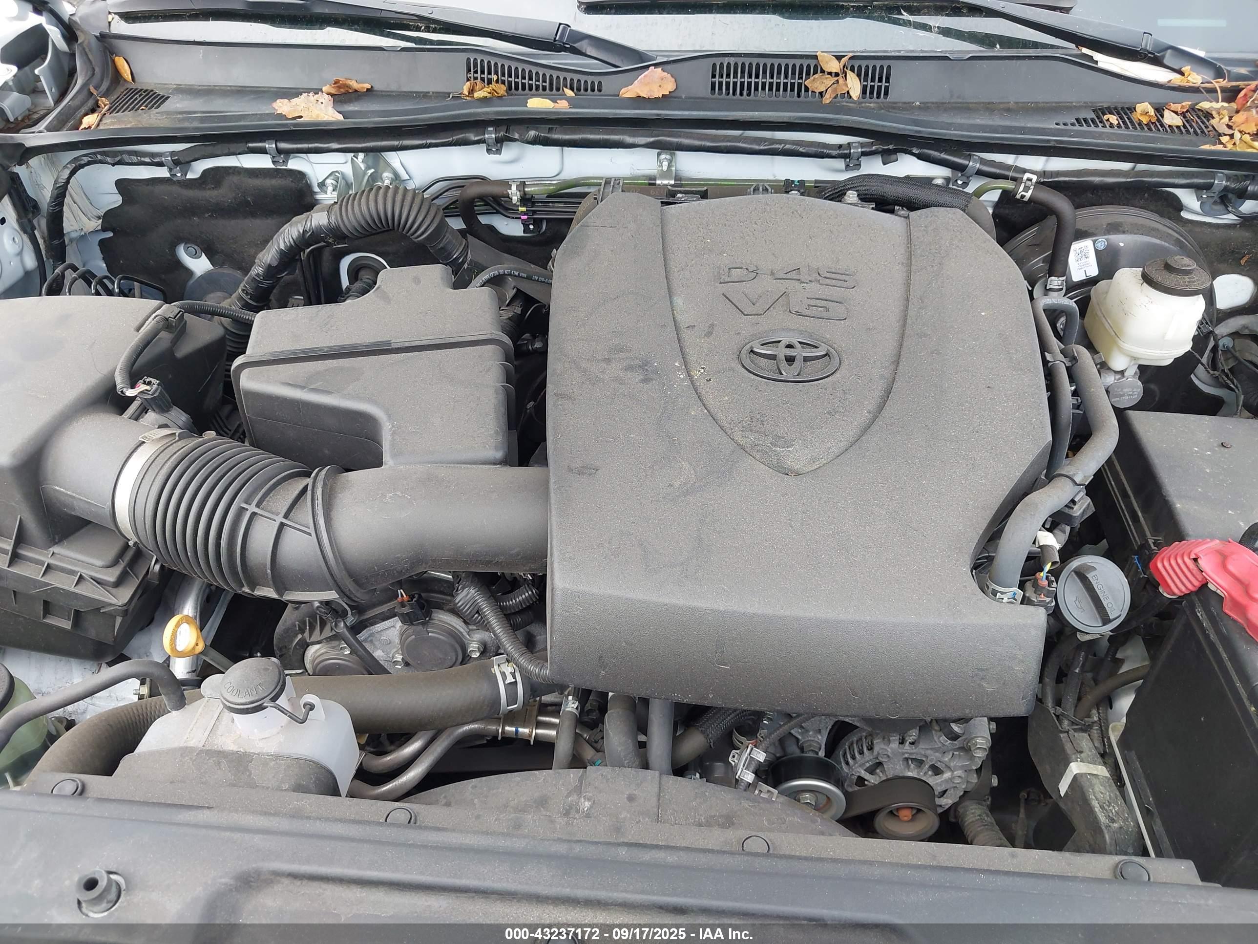 TOYOTA TACOMA image 10