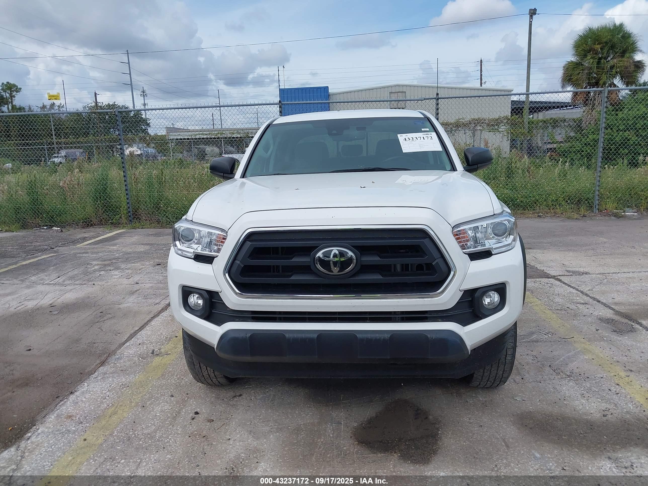 TOYOTA TACOMA image 6
