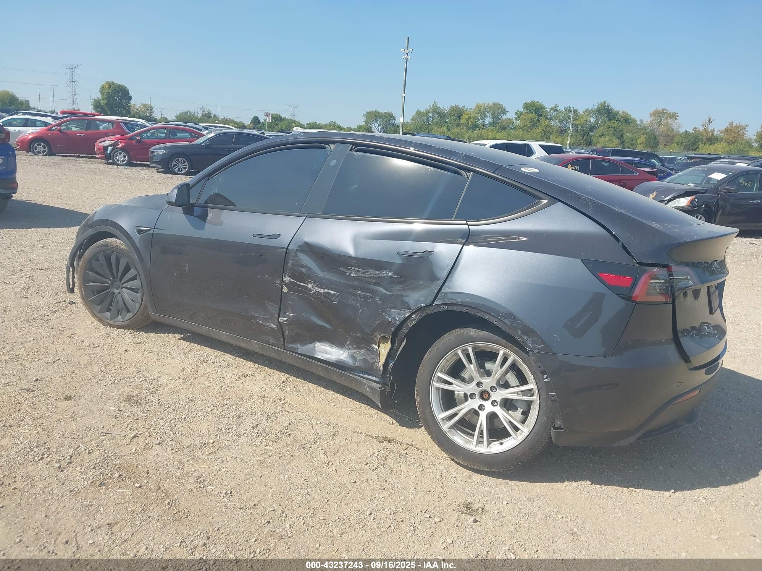 TESLA MODEL image 3