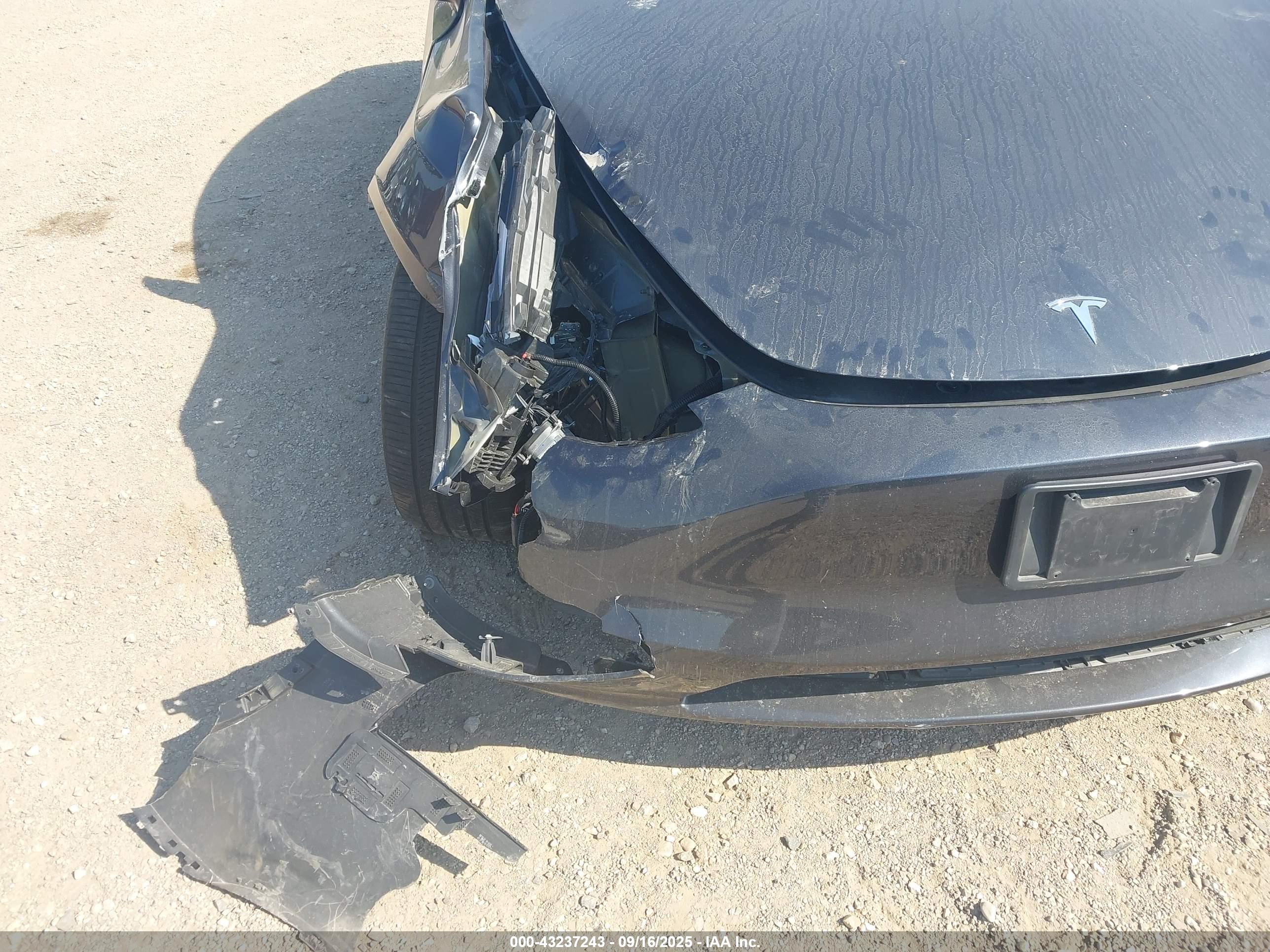 TESLA MODEL image 6