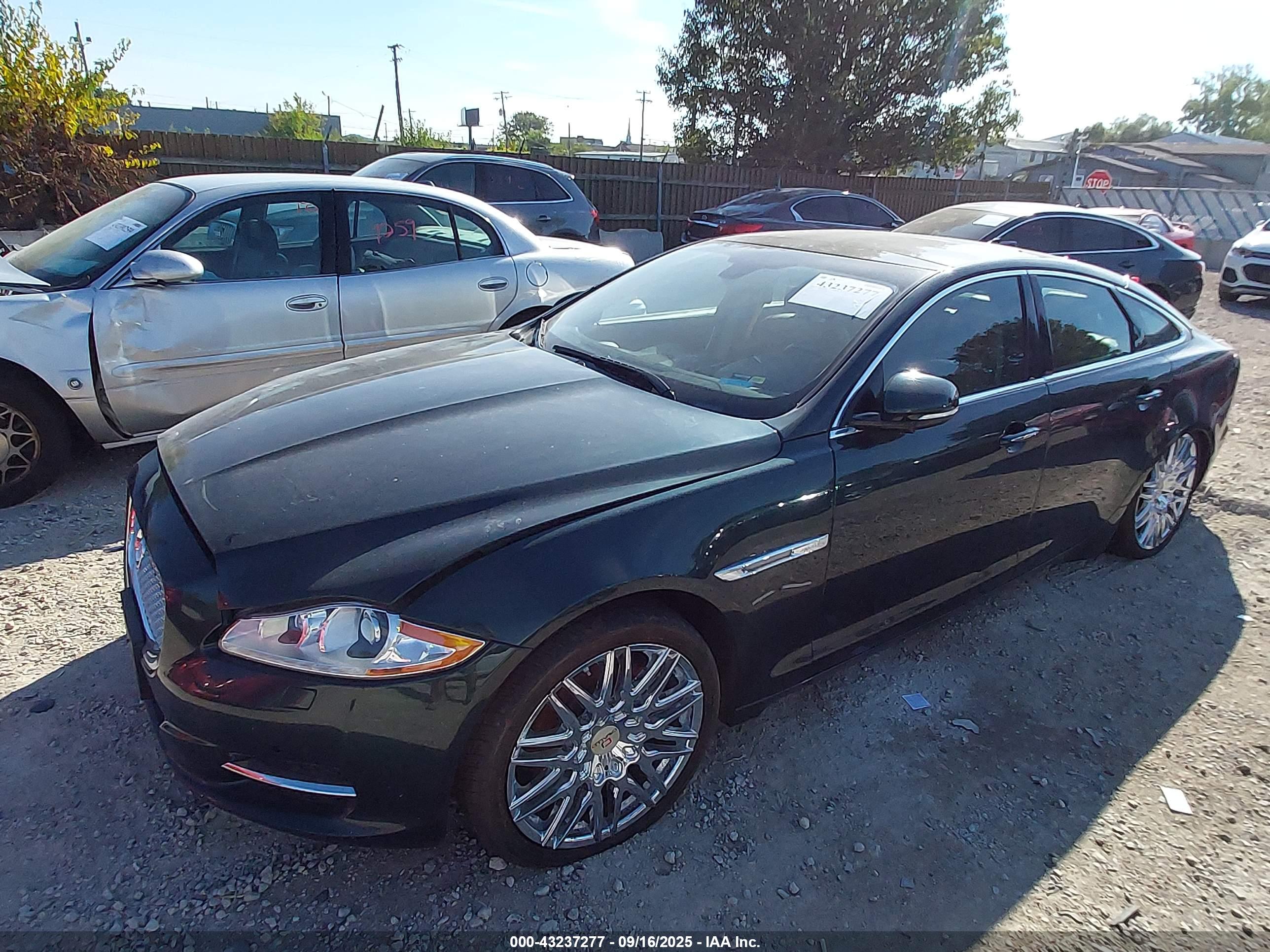 JAGUAR XJ image 2