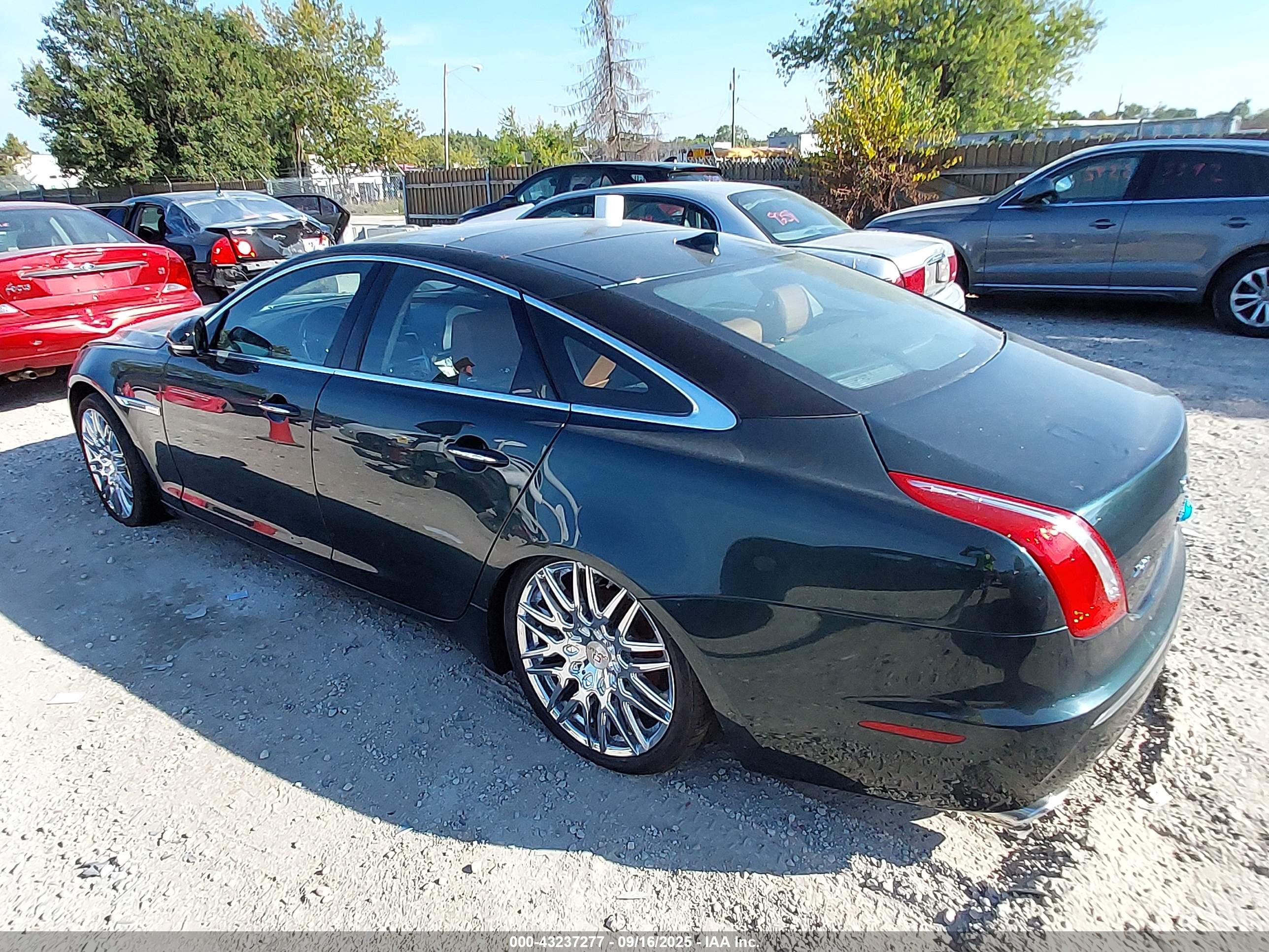 JAGUAR XJ image 3