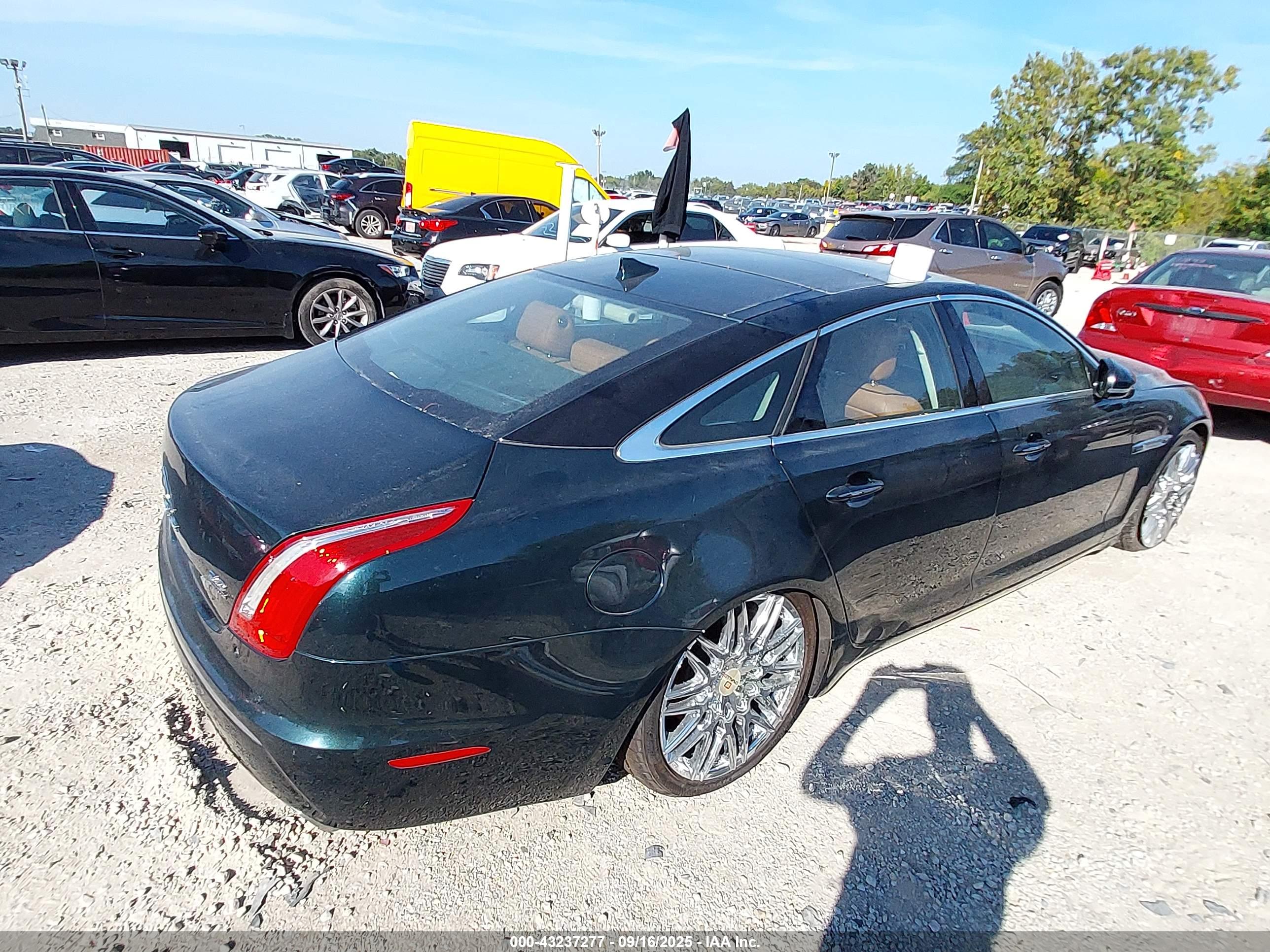 JAGUAR XJ image 4