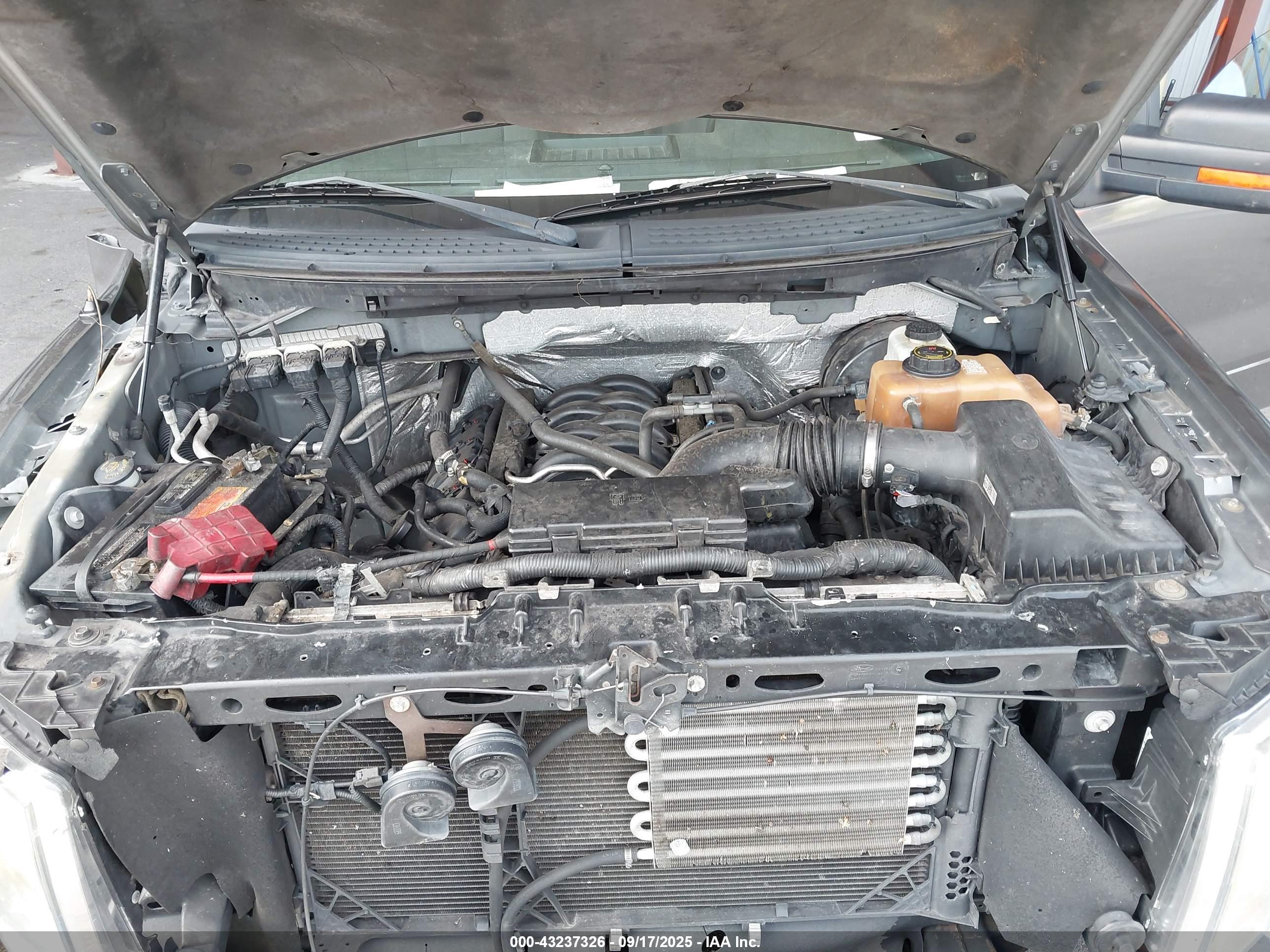 FORD F-150 image 10
