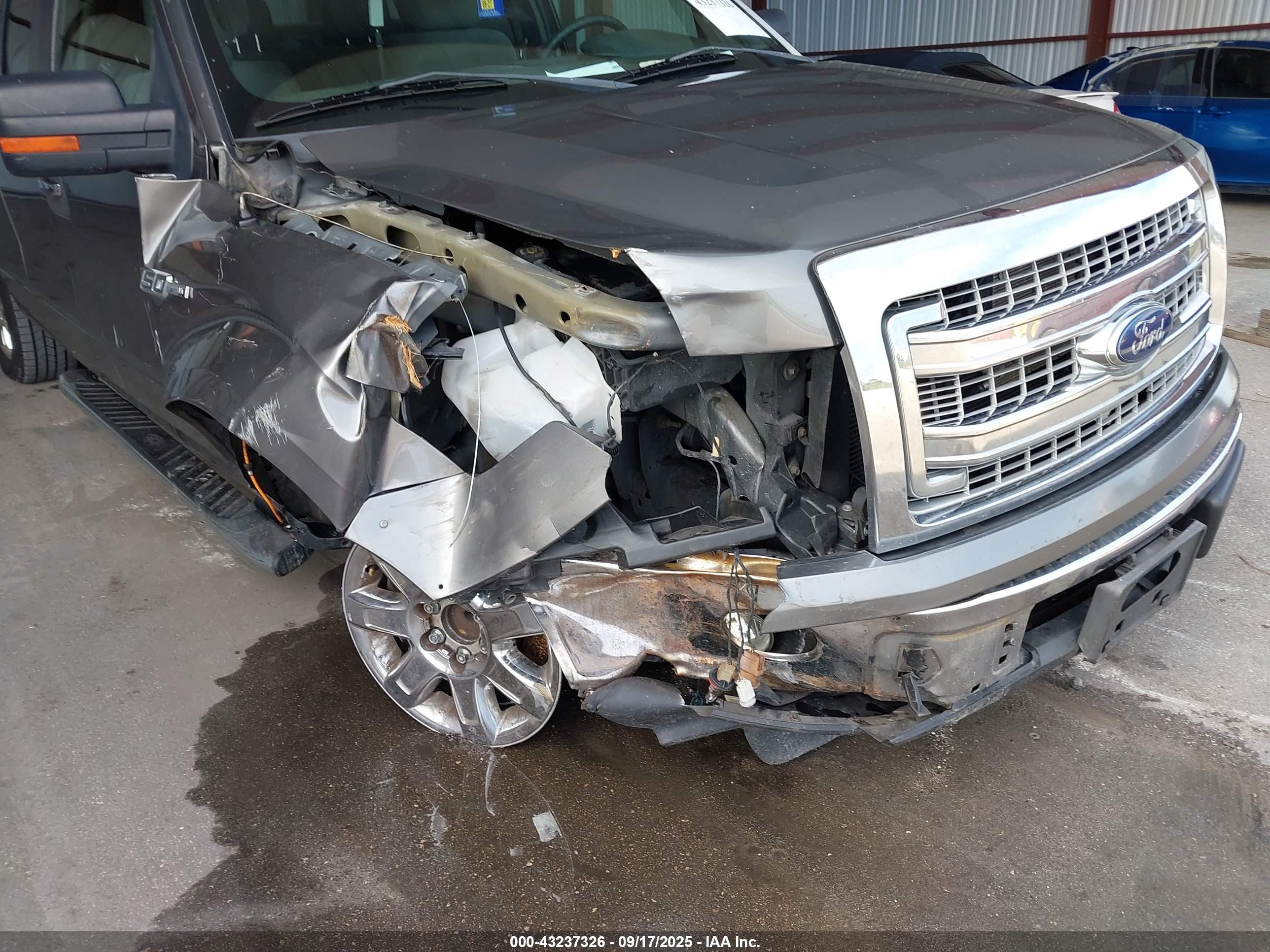 FORD F-150 image 6