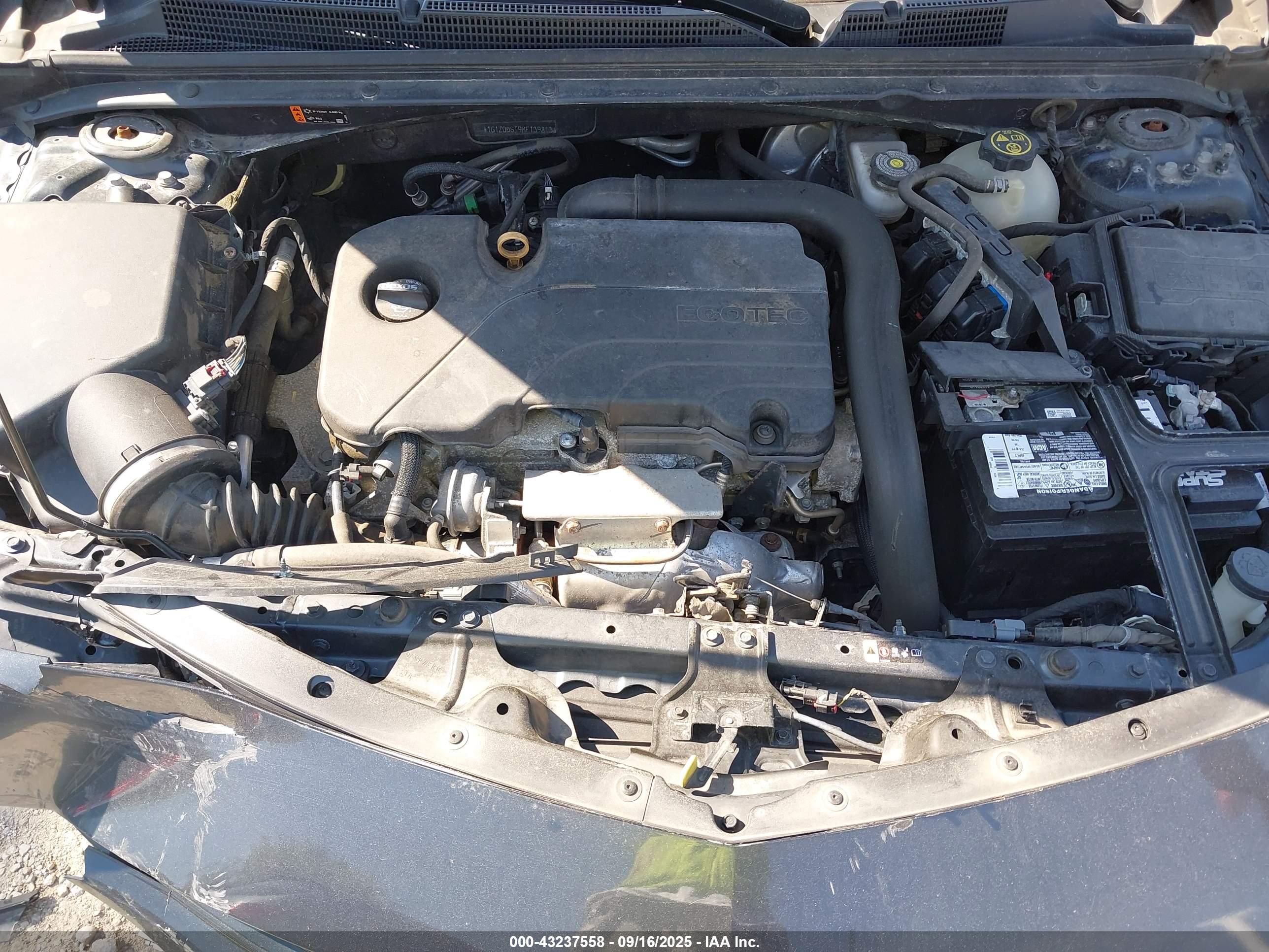 CHEVROLET MALIBU image 10