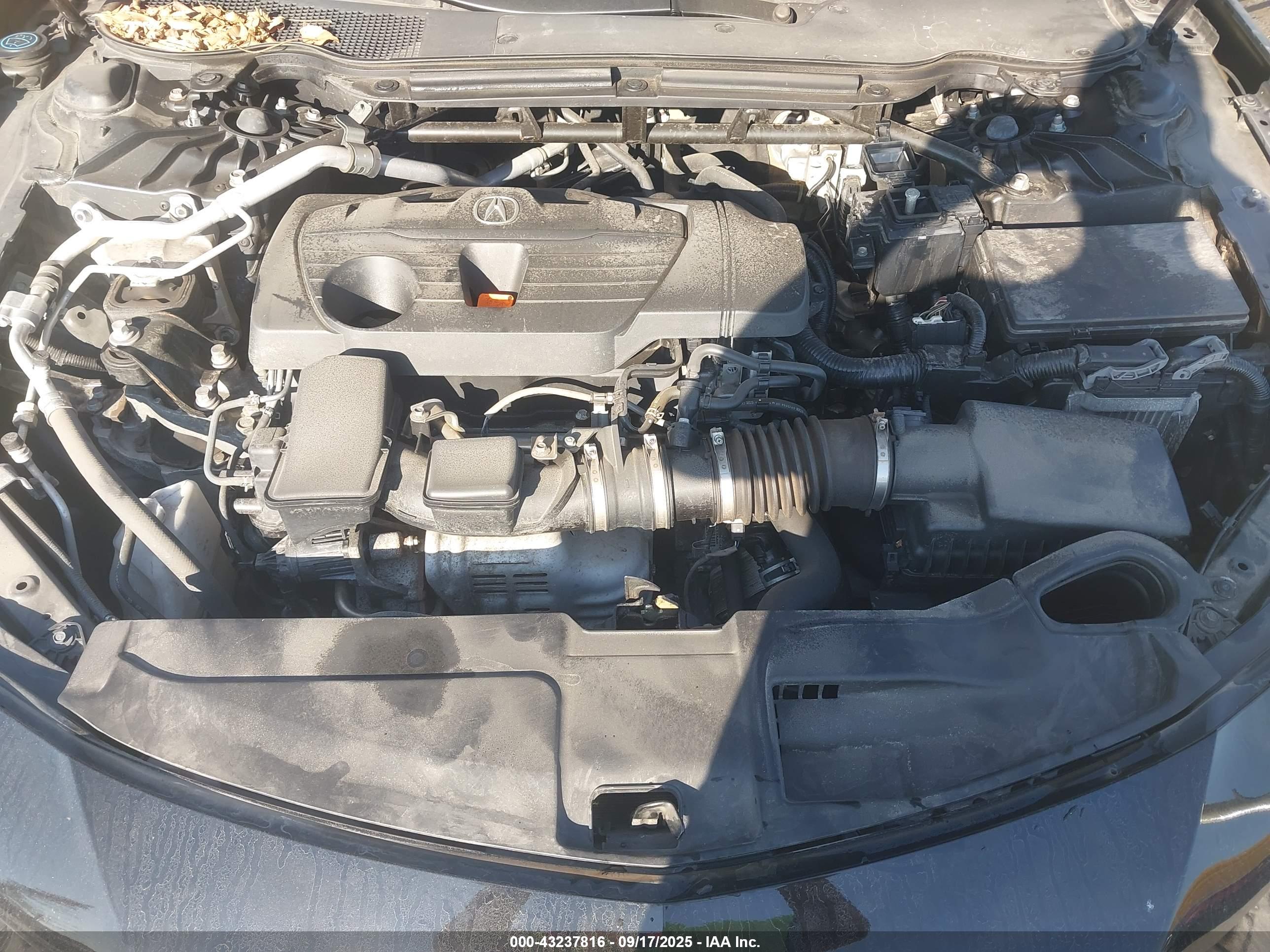 ACURA TLX image 10
