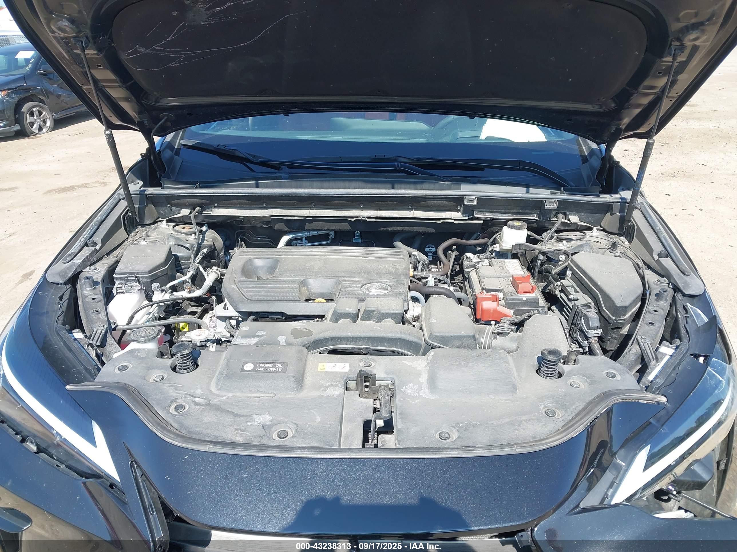 LEXUS NX image 10