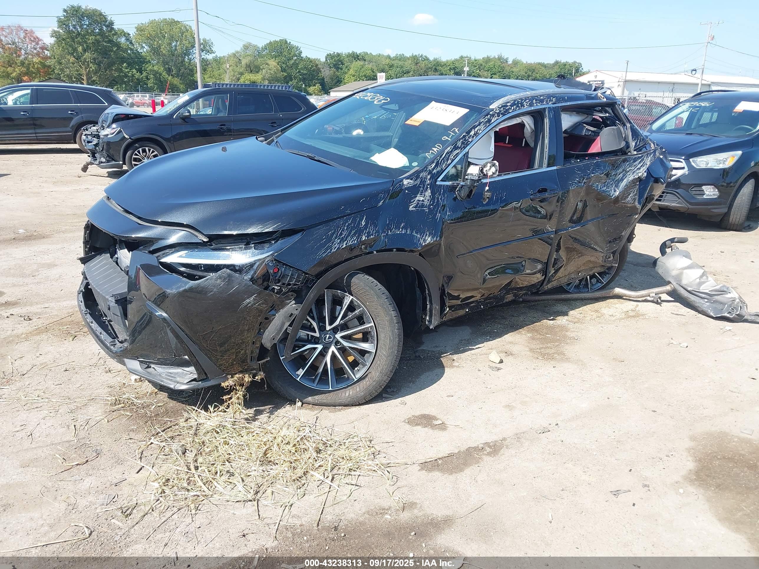 LEXUS NX image 2