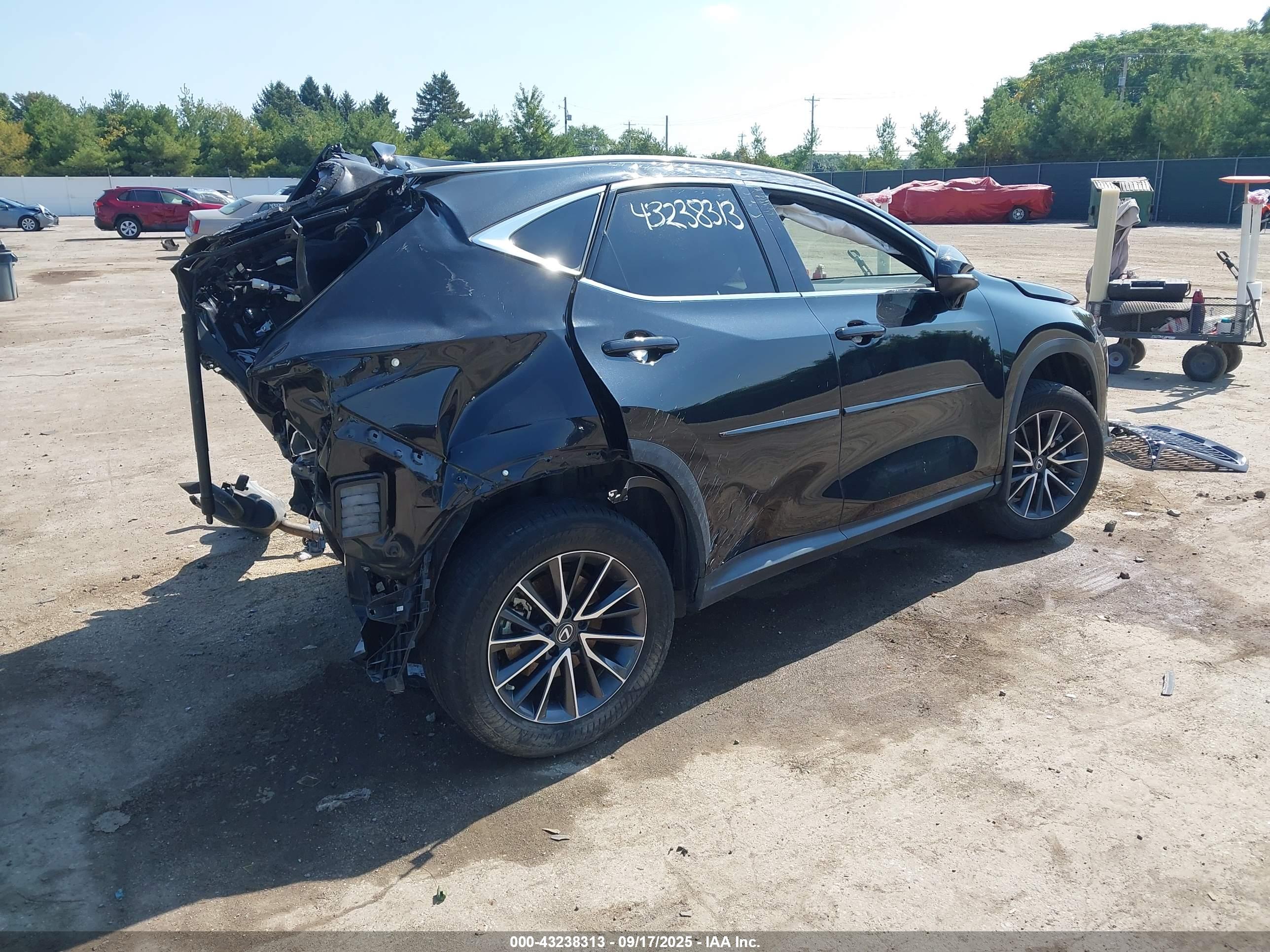 LEXUS NX image 4