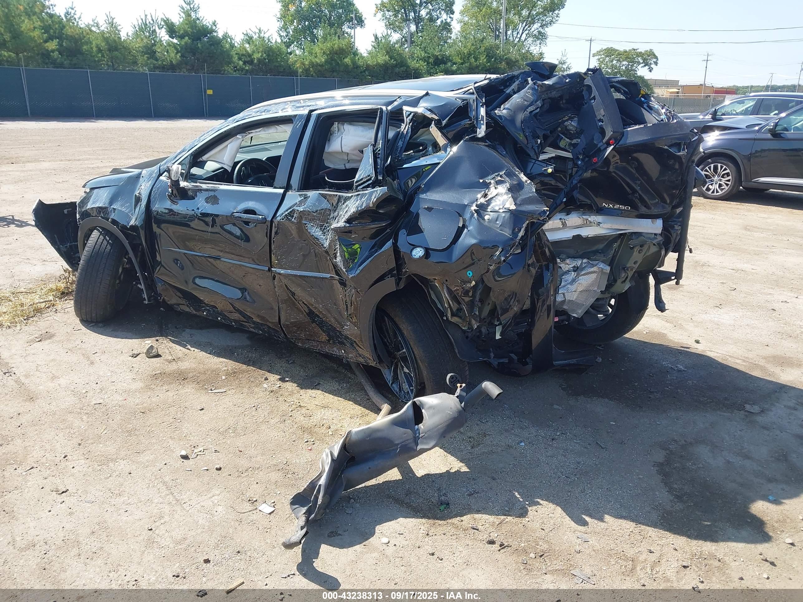 LEXUS NX image 6