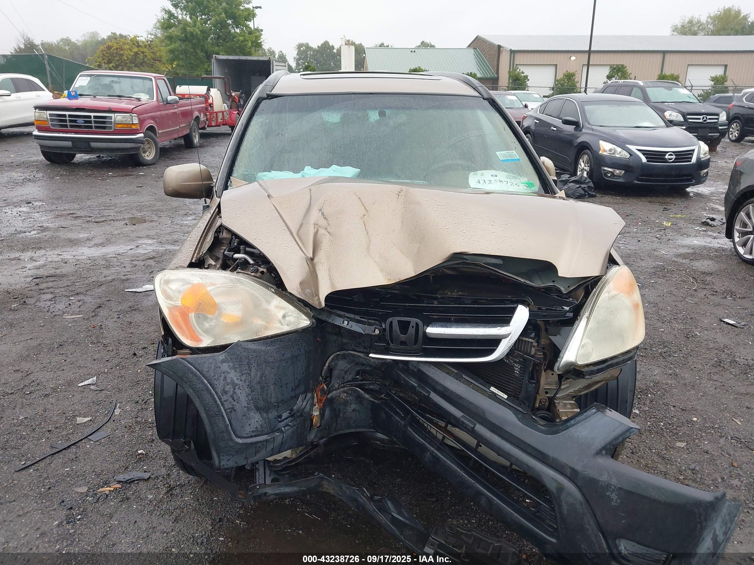 HONDA CR-V image 6