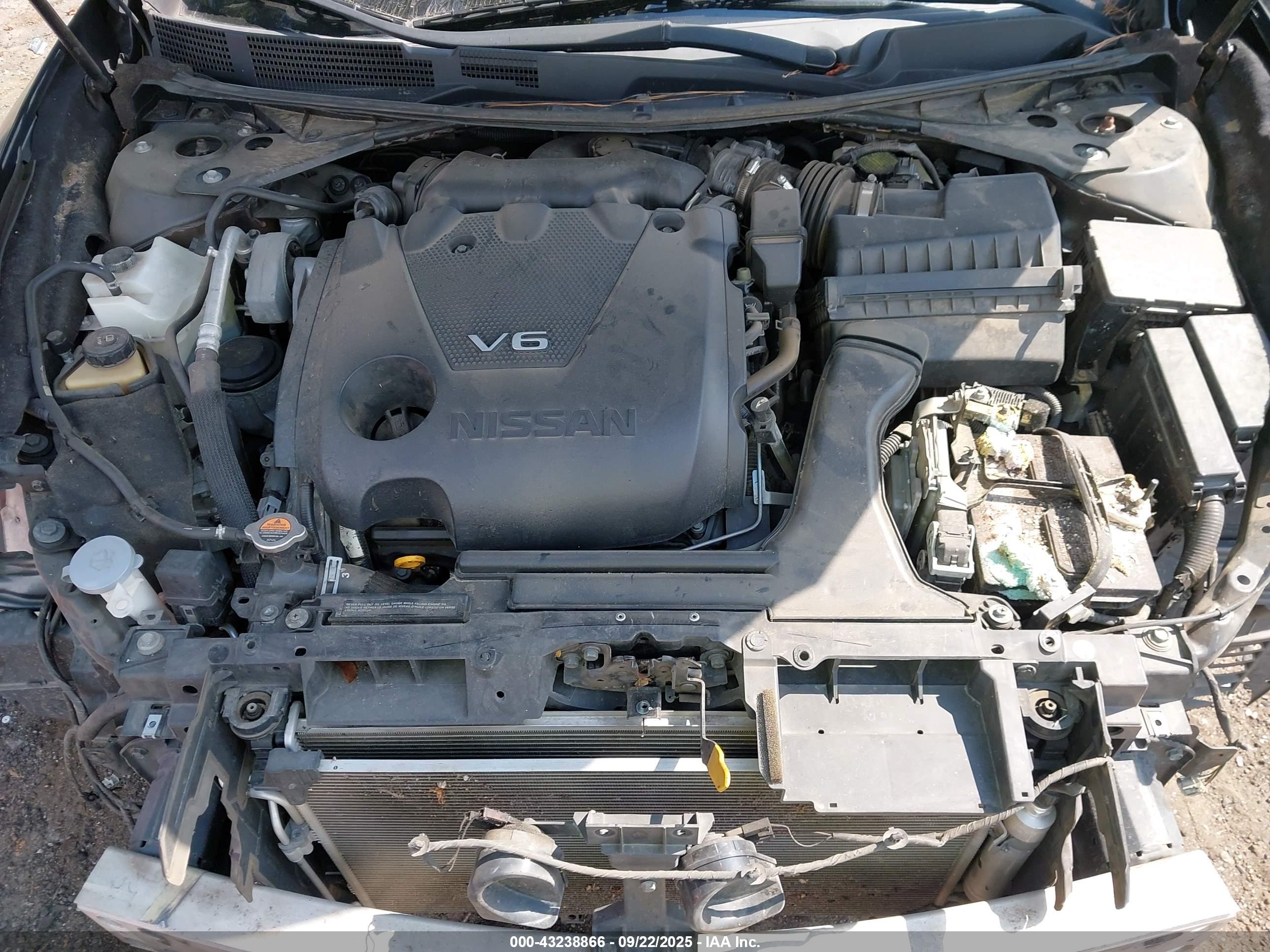 NISSAN MAXIMA image 10