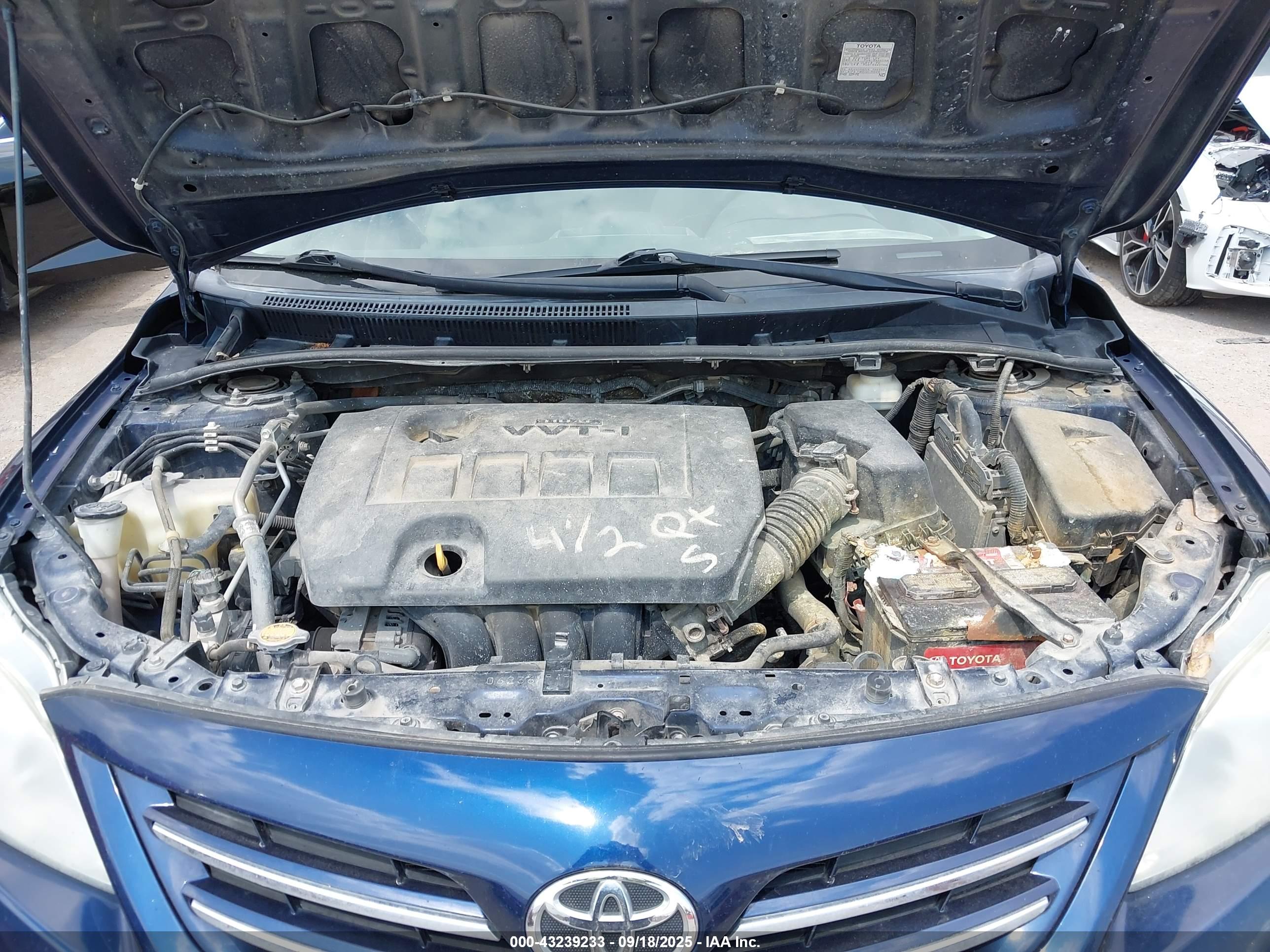 TOYOTA COROLLA image 10