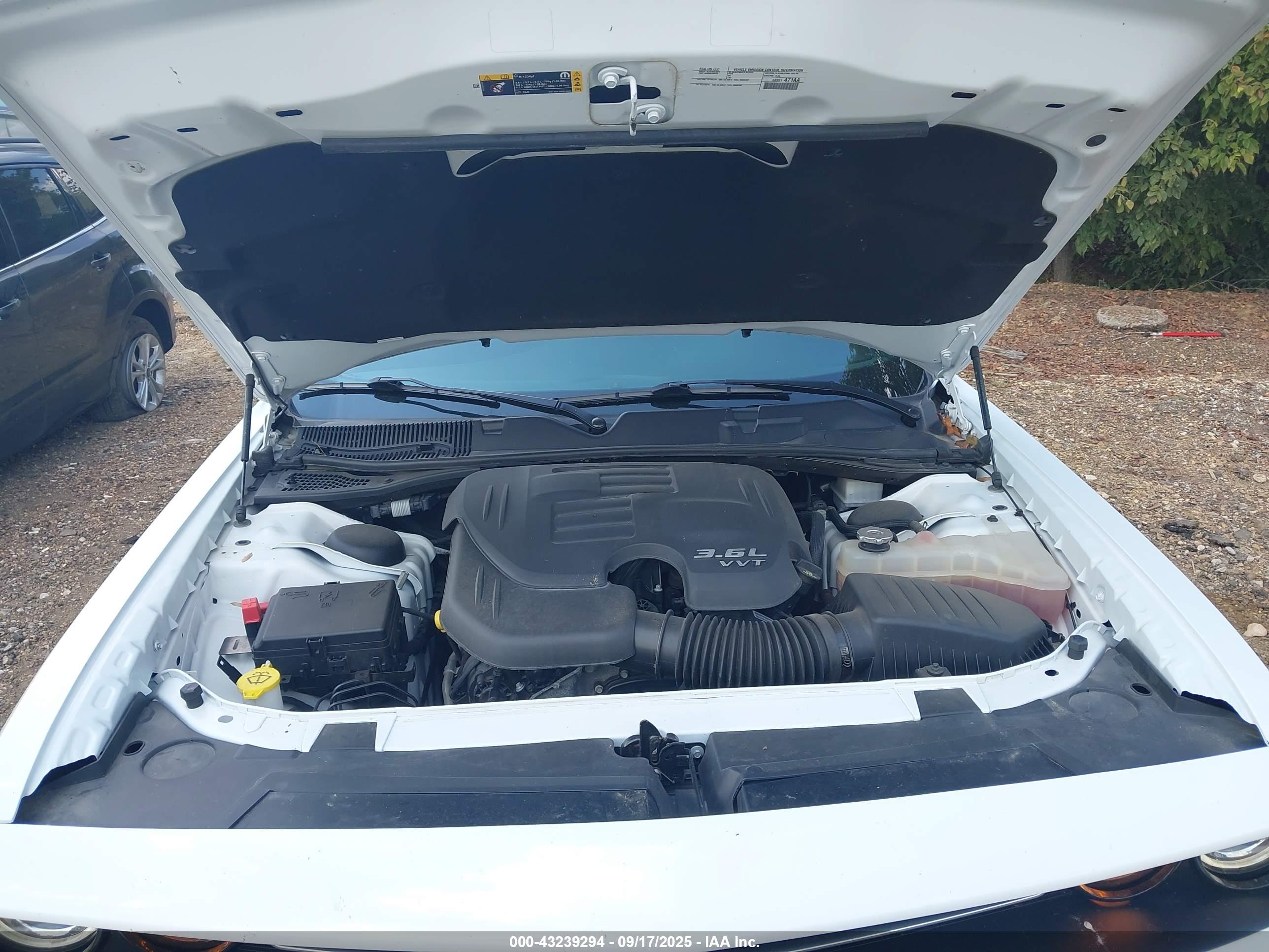 DODGE CHALLENGER image 10