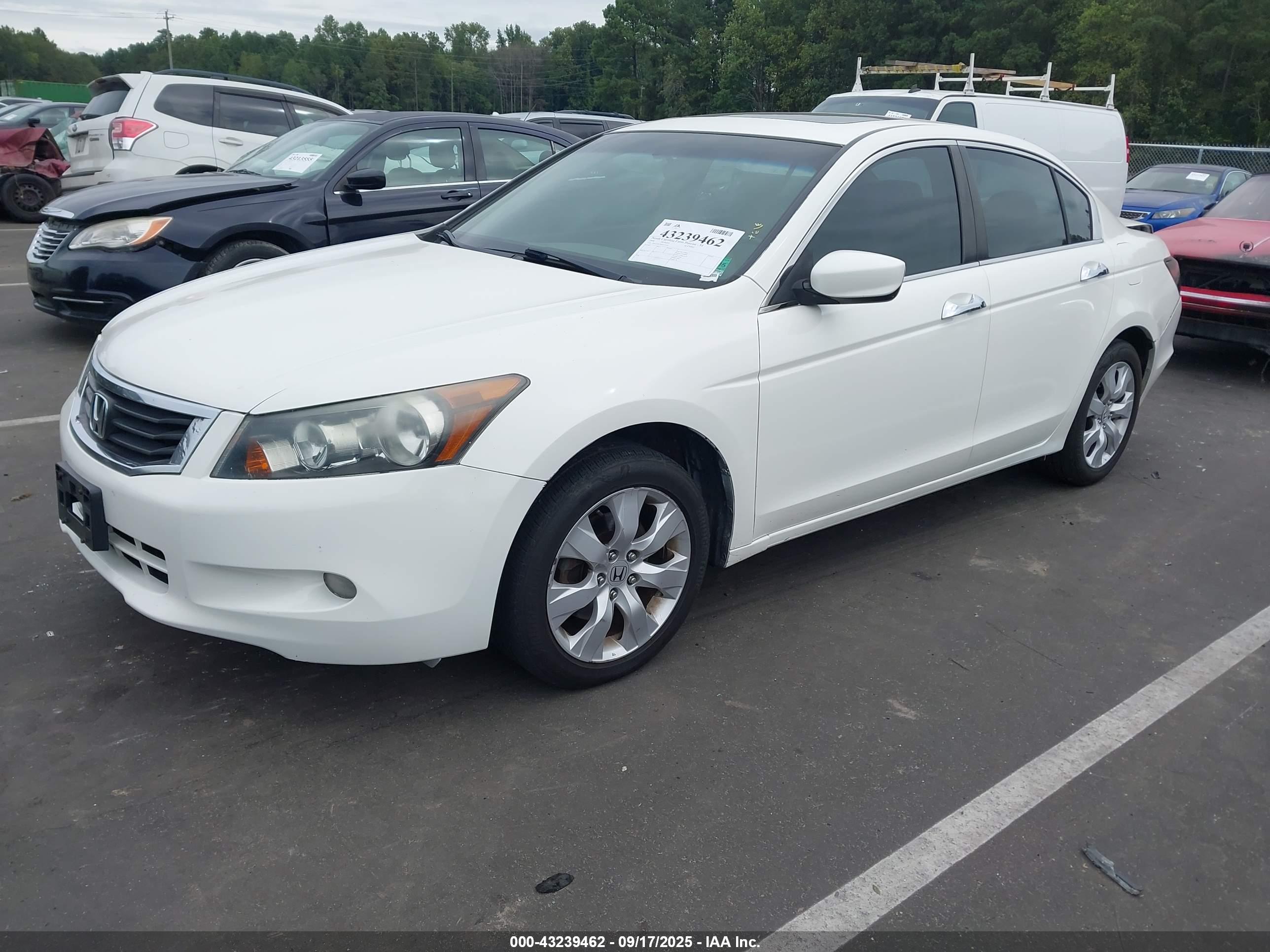 HONDA ACCORD image 2