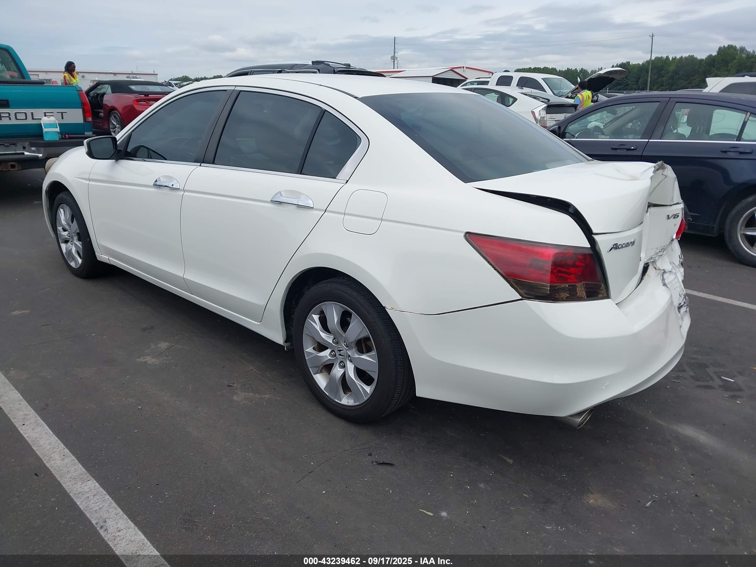 HONDA ACCORD image 3