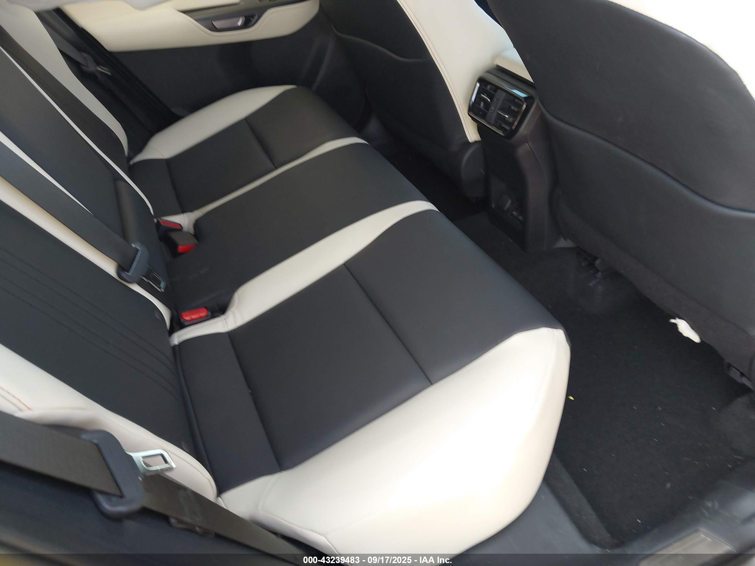 LEXUS NX image 8