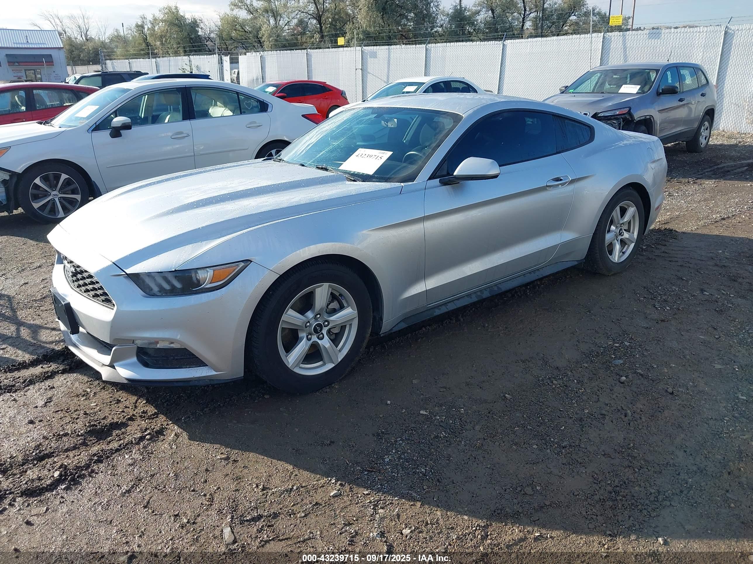 FORD MUSTANG image 2