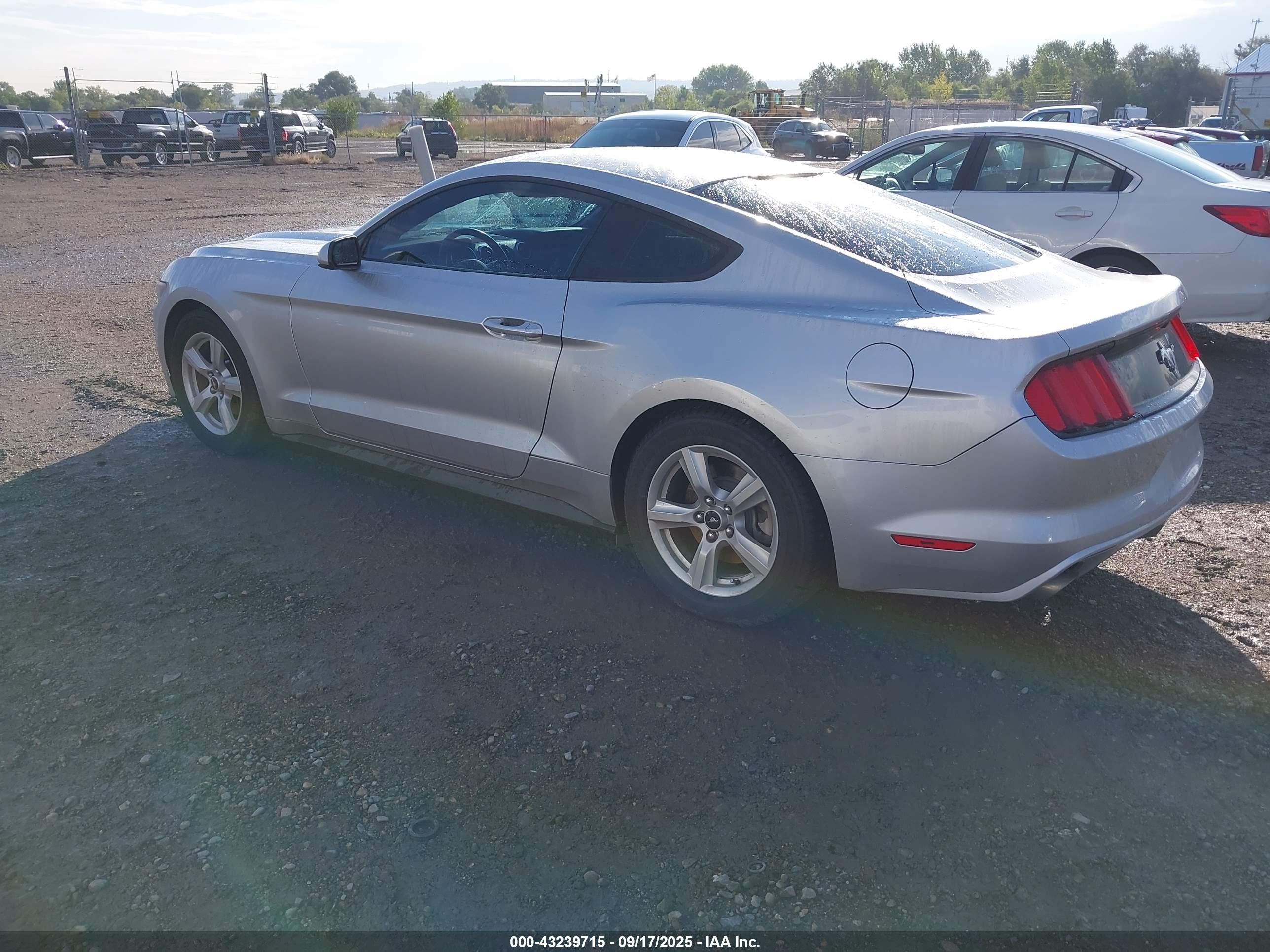 FORD MUSTANG image 3