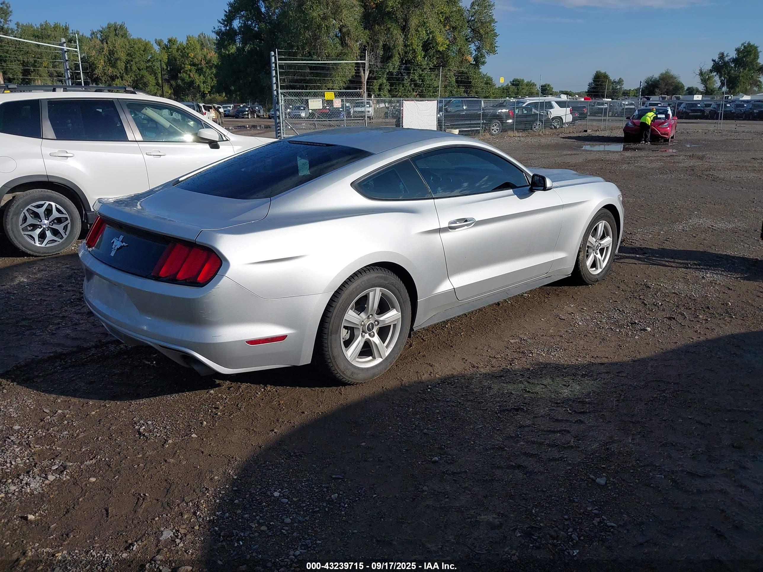 FORD MUSTANG image 4