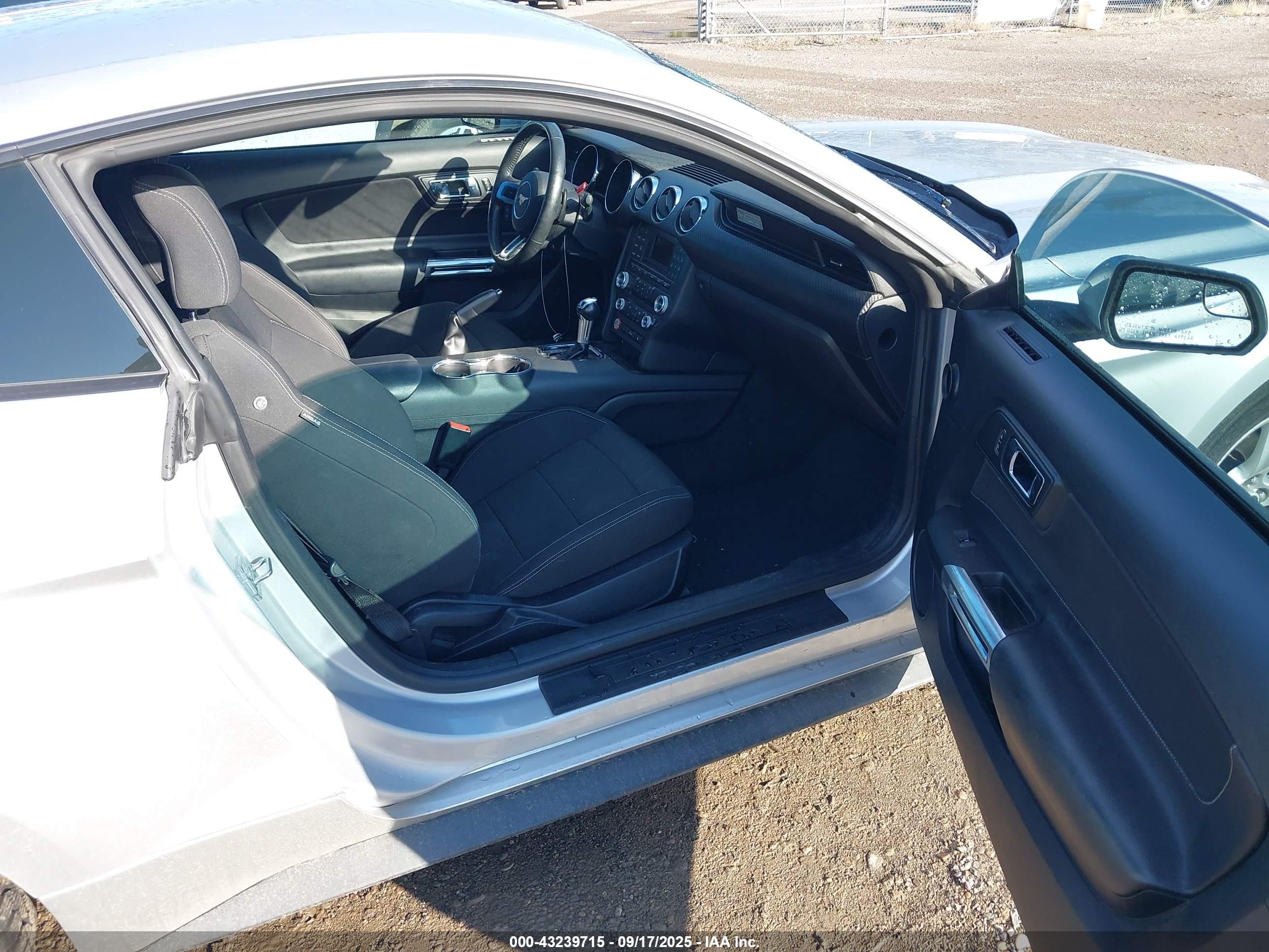 FORD MUSTANG image 5