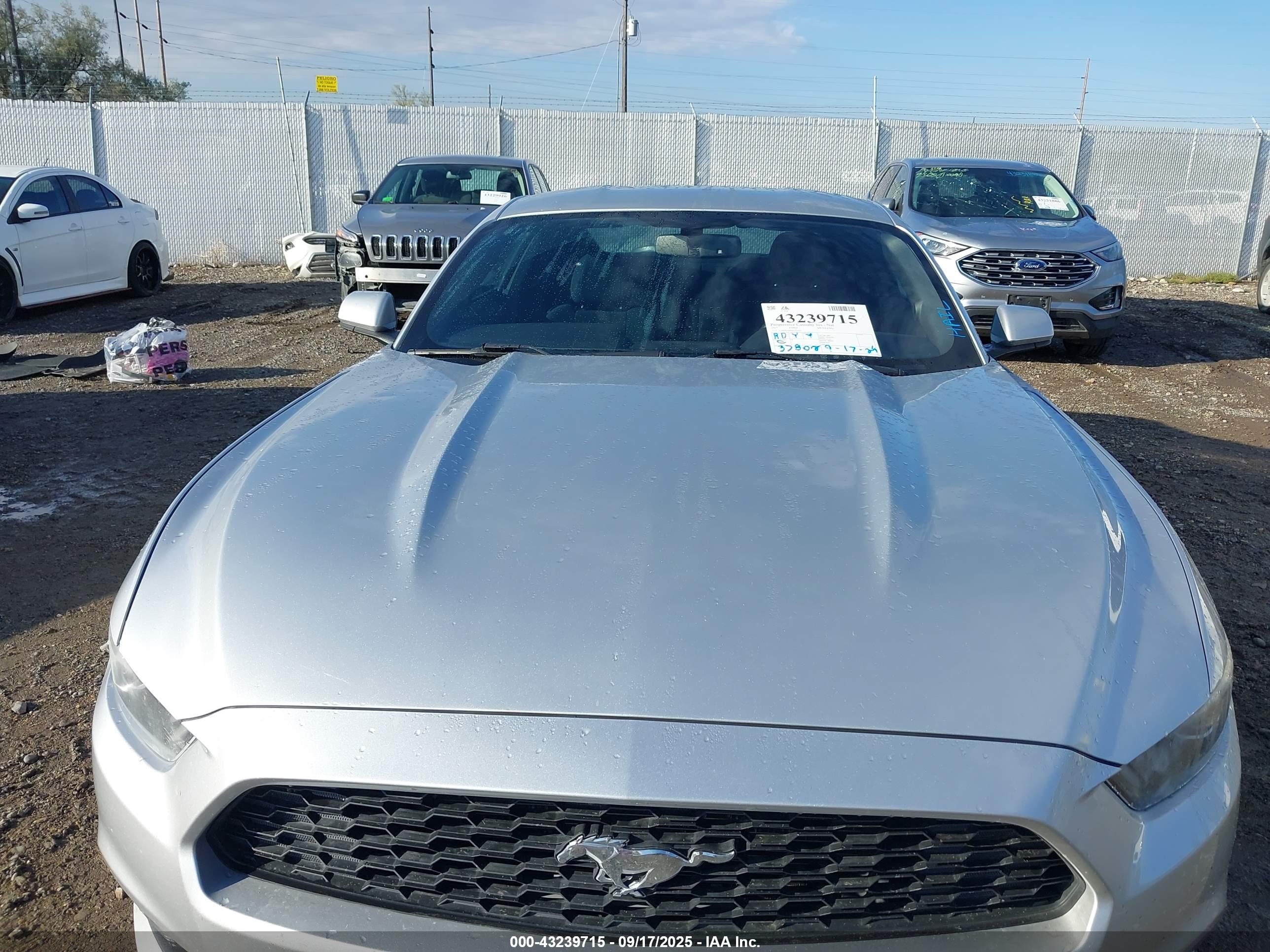 FORD MUSTANG image 6