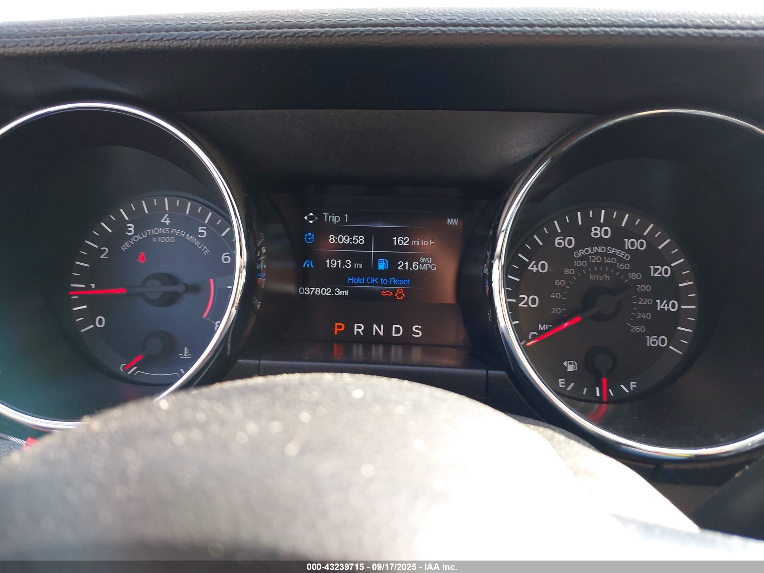 FORD MUSTANG image 7