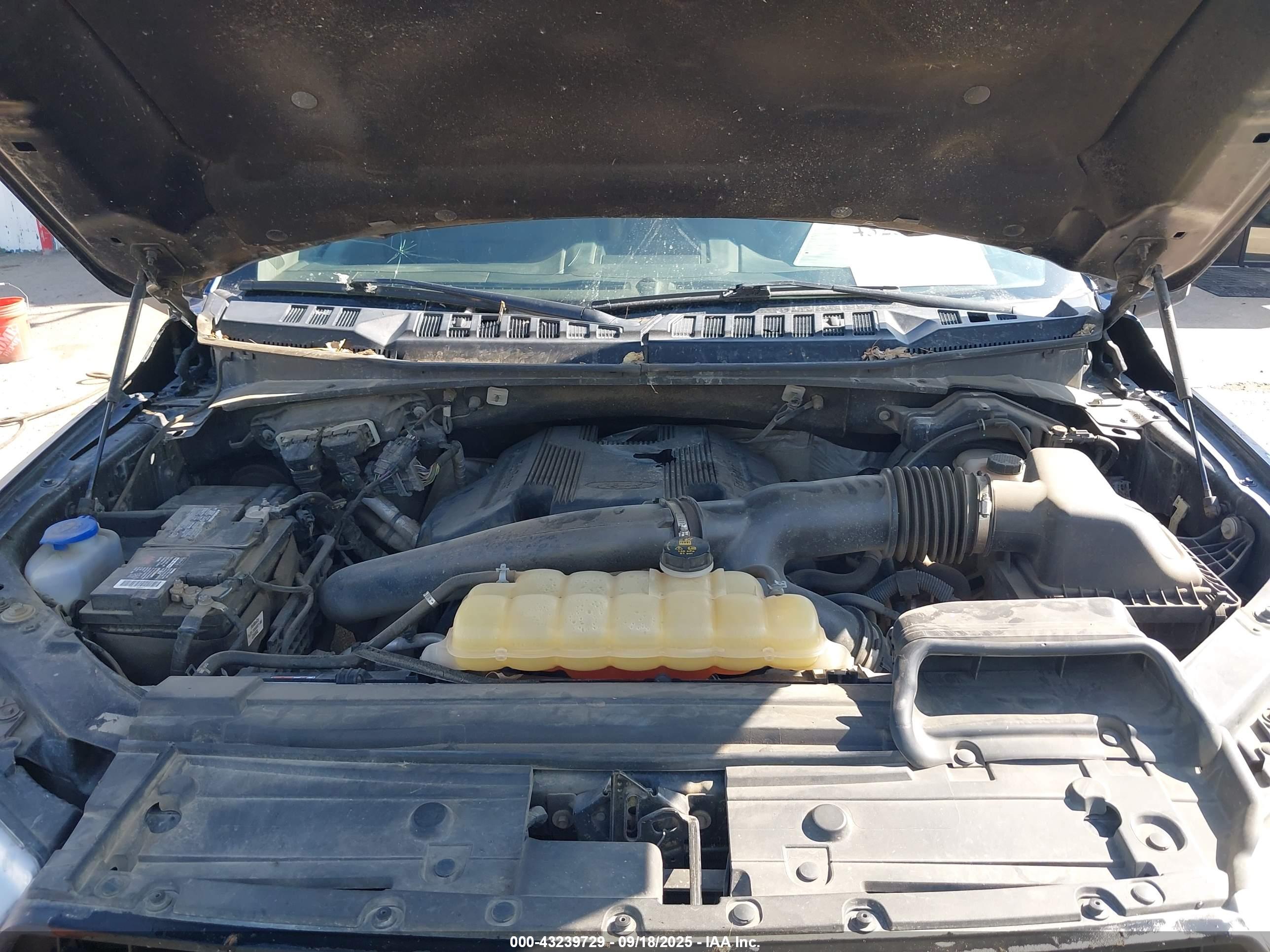 FORD F-150 image 10