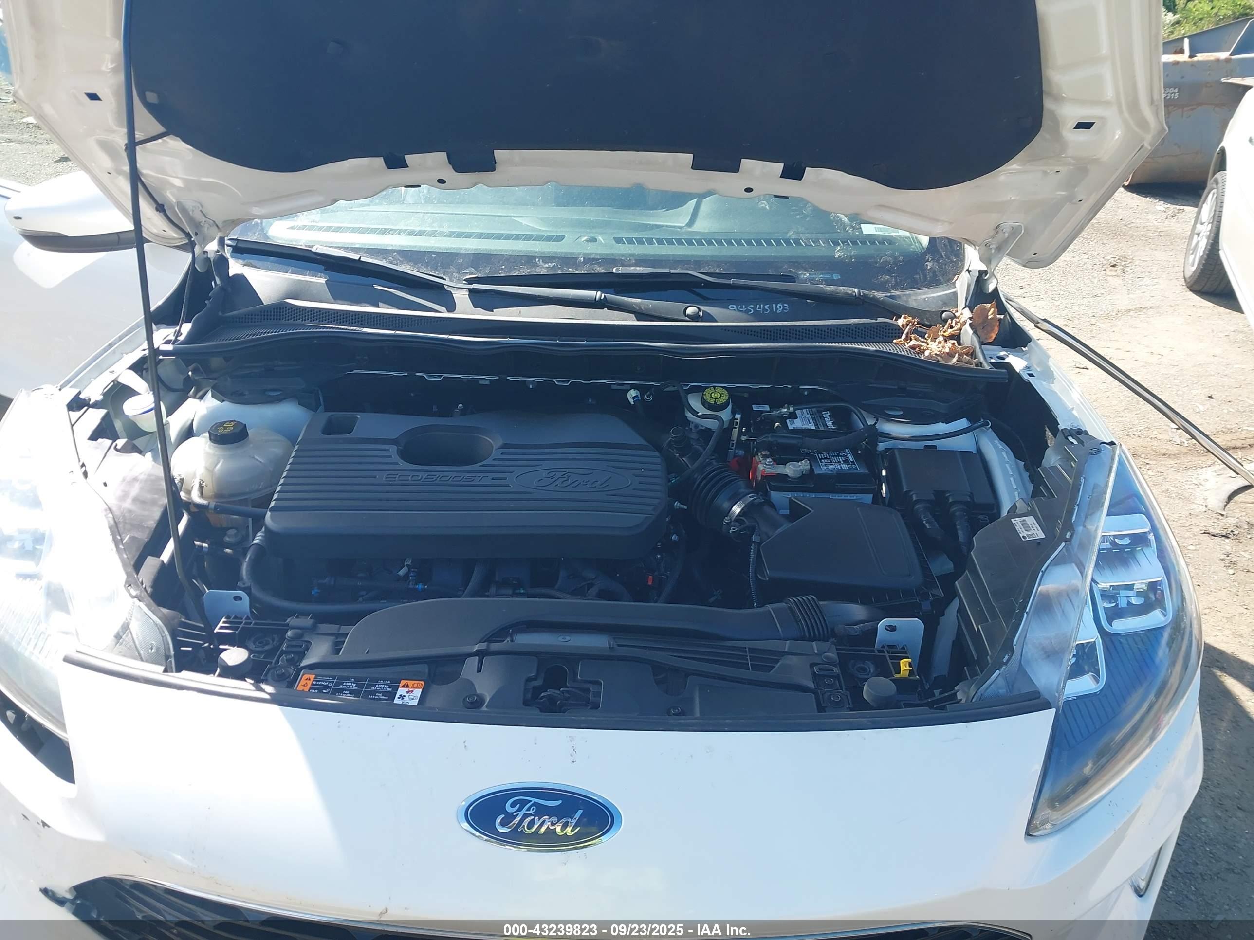 FORD ESCAPE image 10