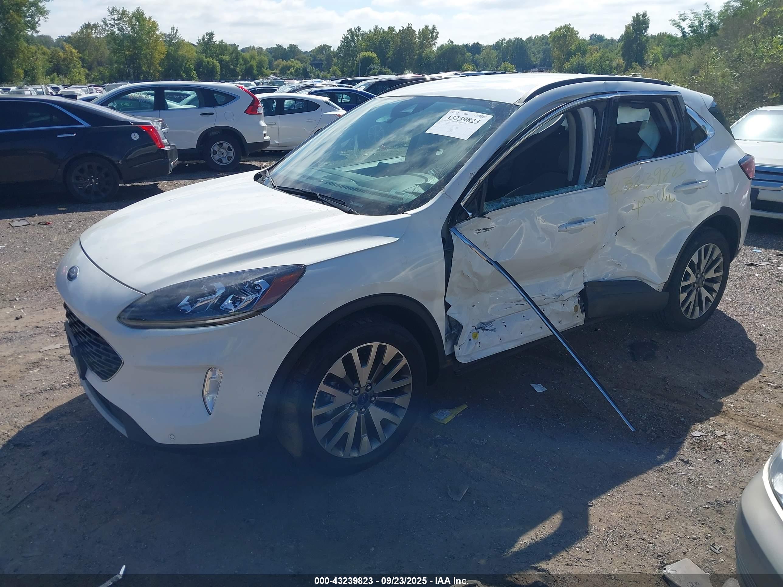 FORD ESCAPE image 2