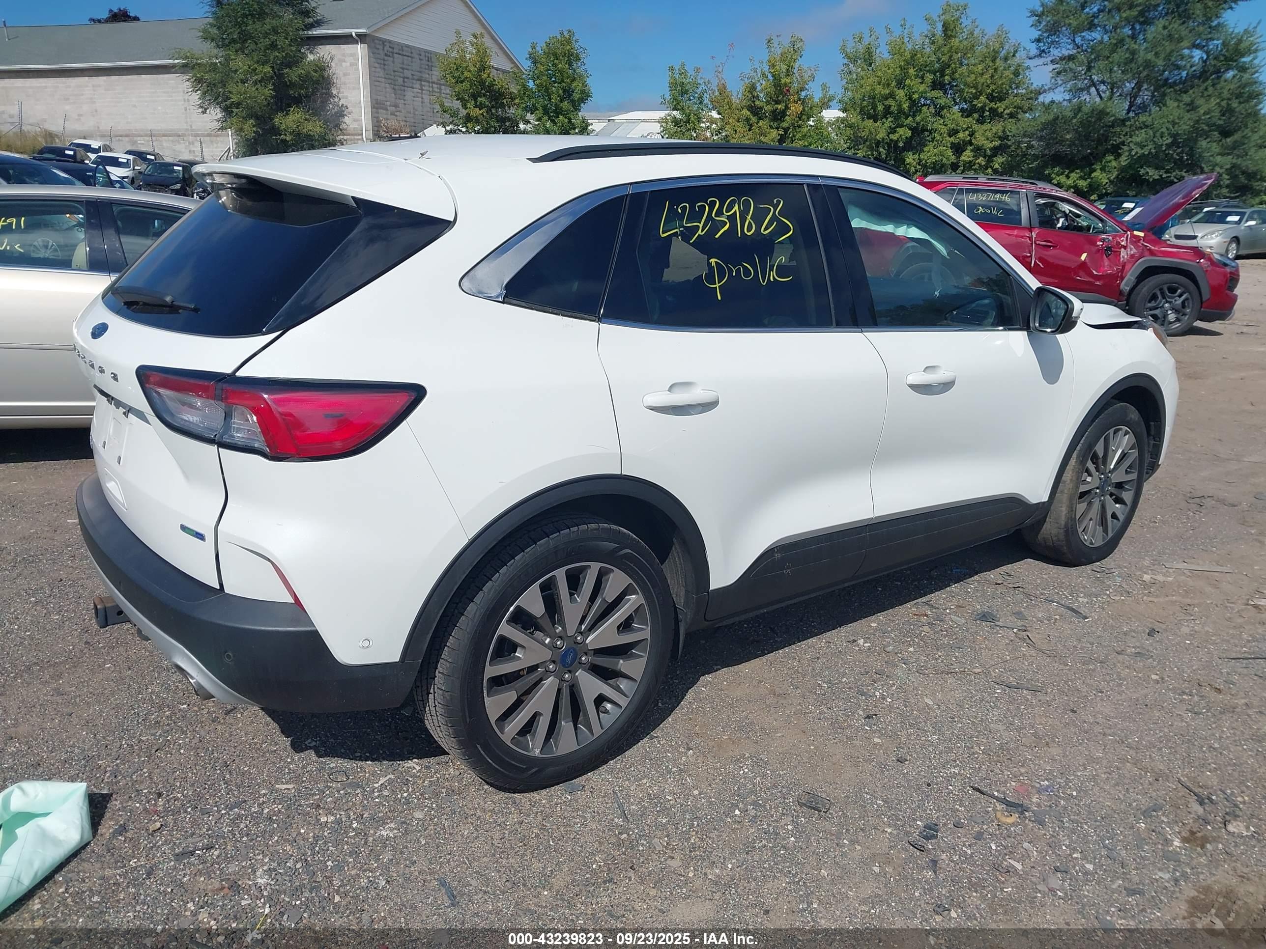 FORD ESCAPE image 4