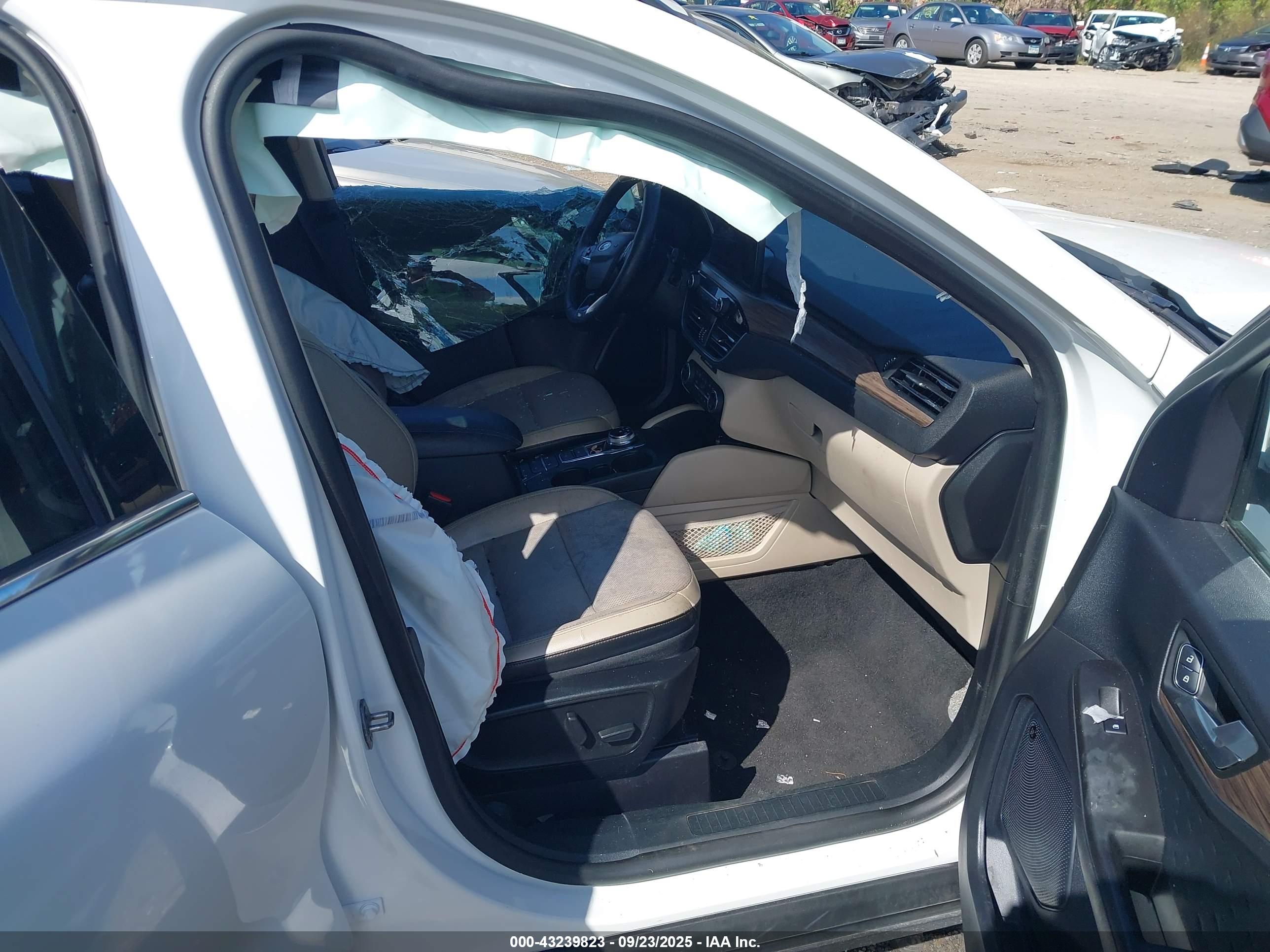 FORD ESCAPE image 5