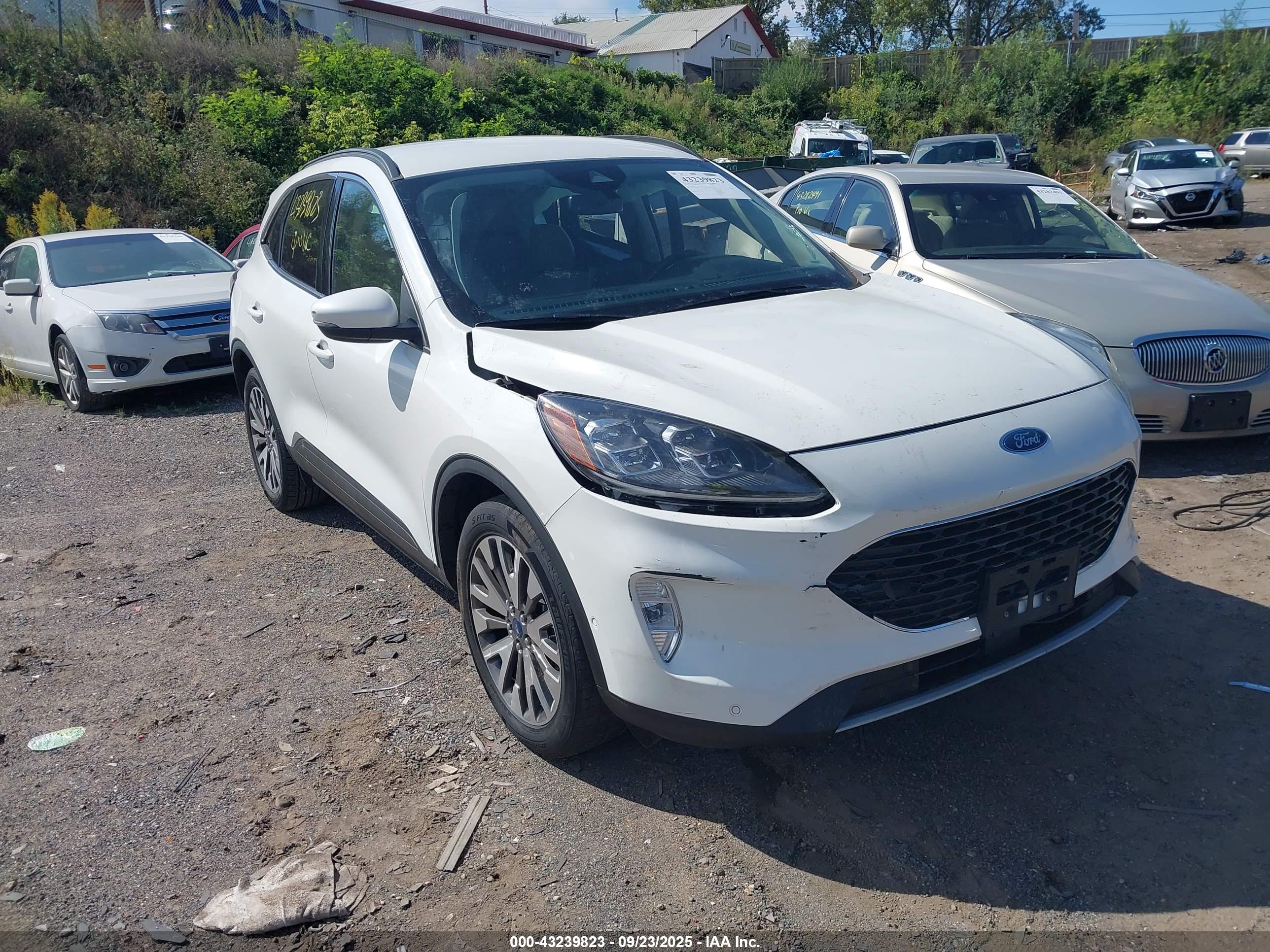 FORD ESCAPE image 6
