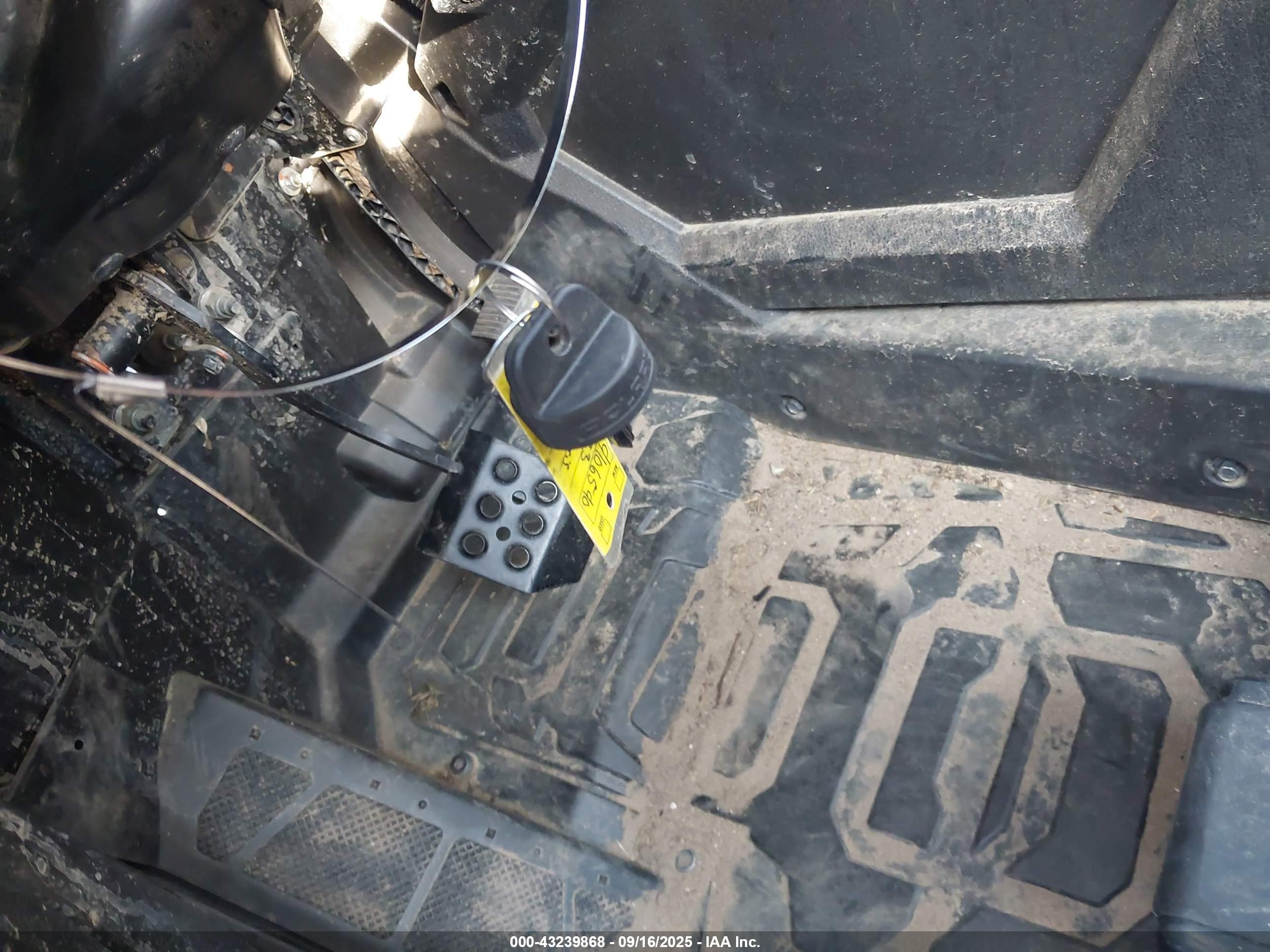 POLARIS RZR image 11