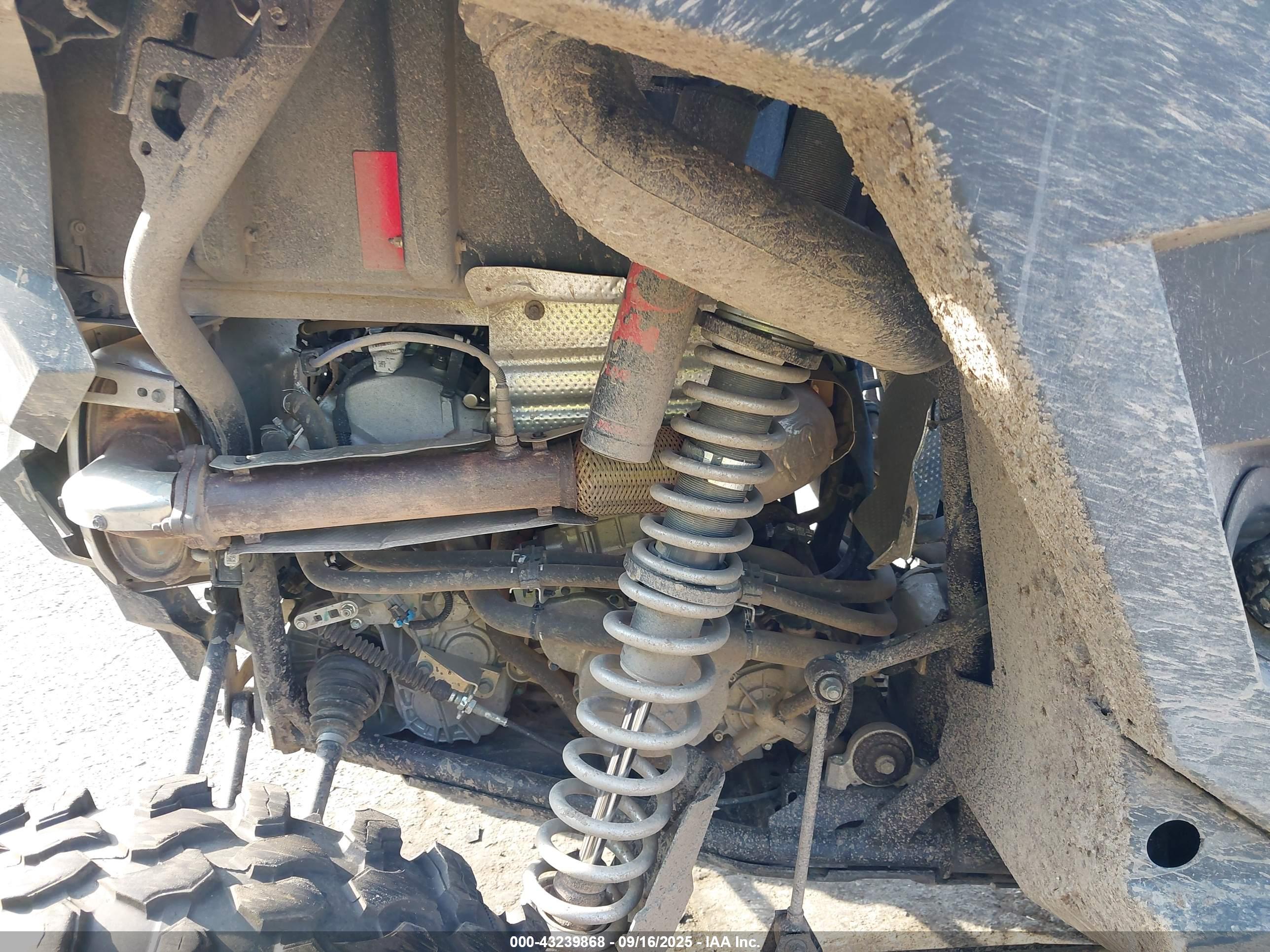 POLARIS RZR image 8