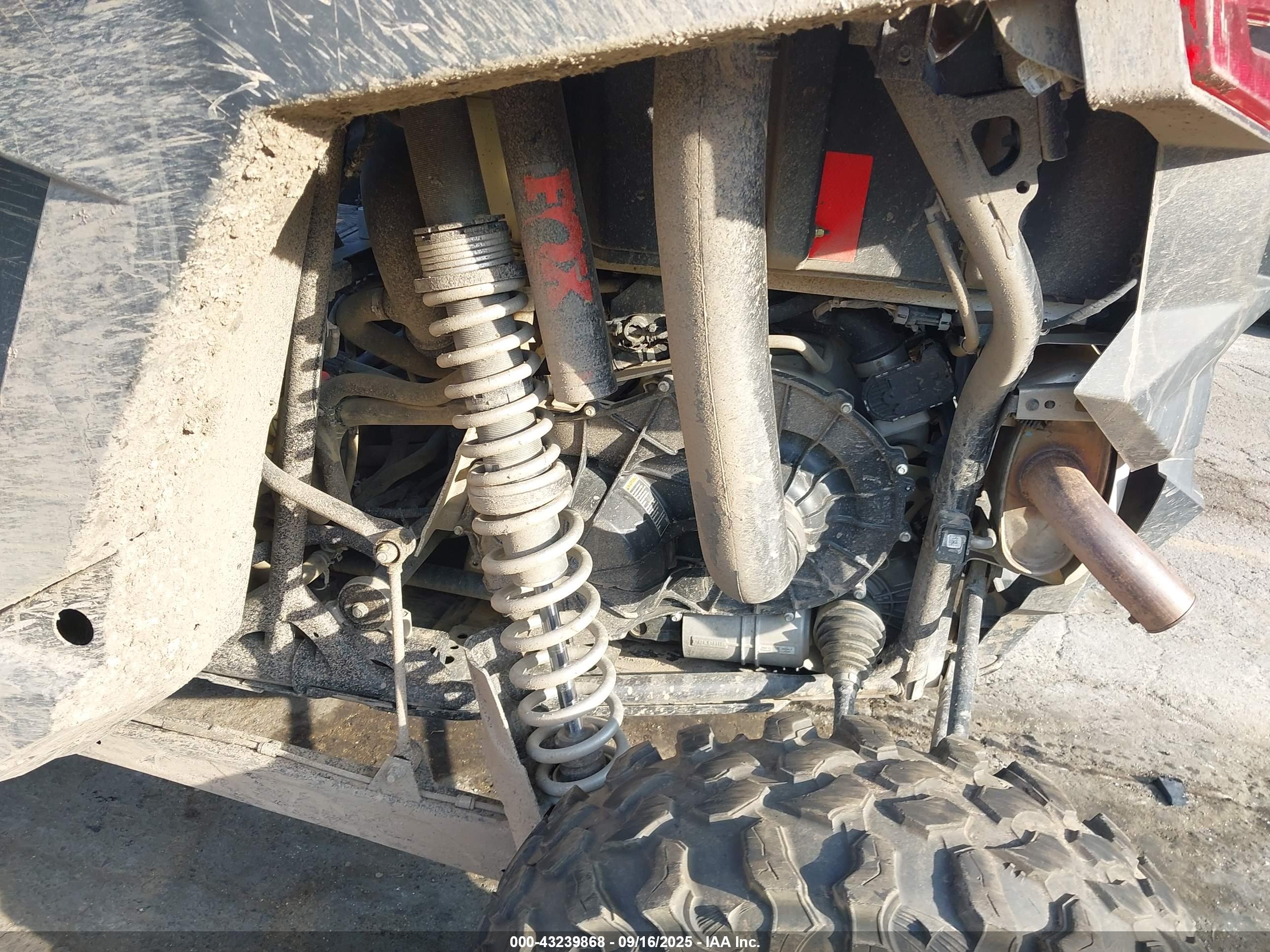 POLARIS RZR image 9
