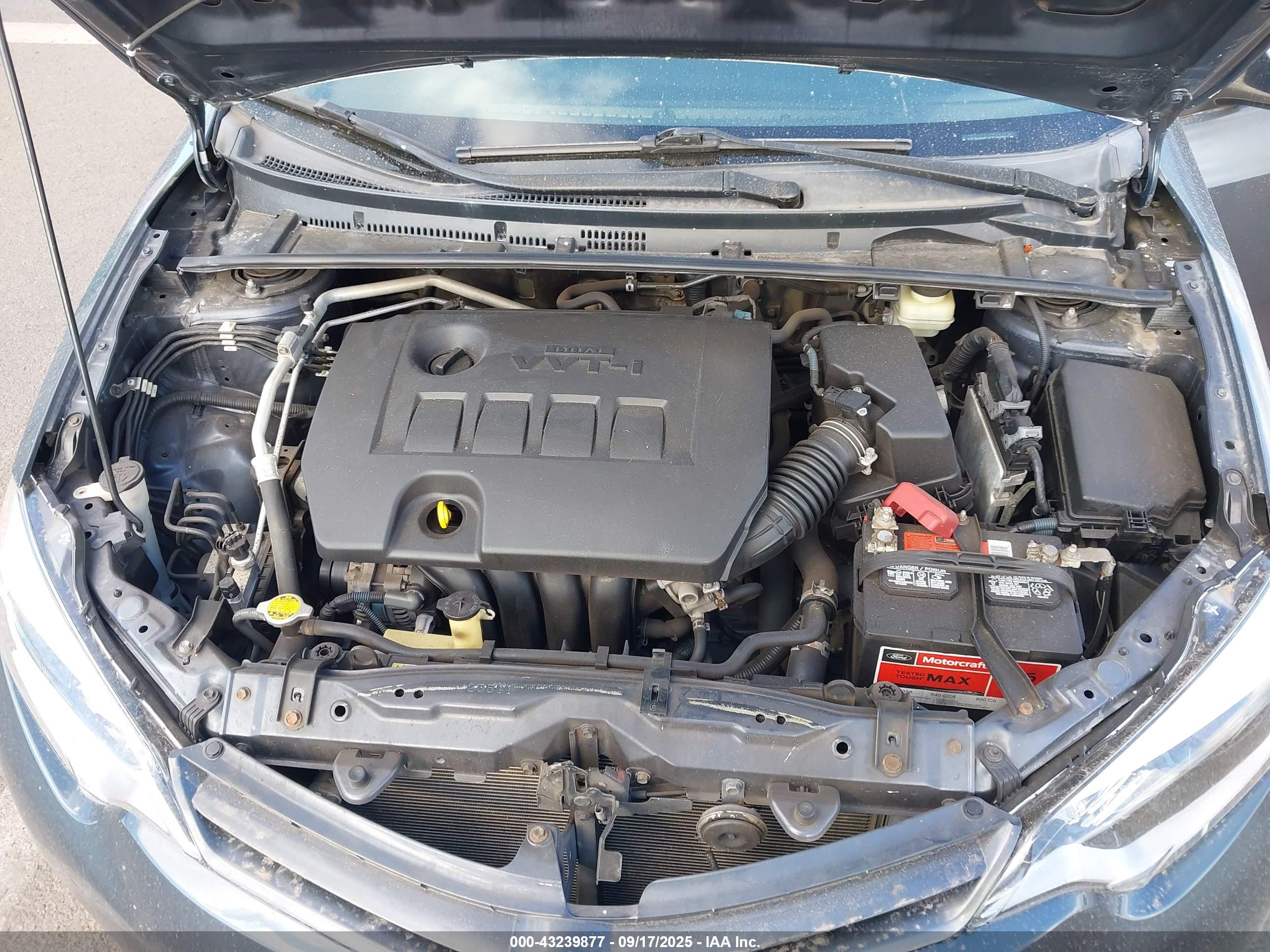 TOYOTA COROLLA image 10