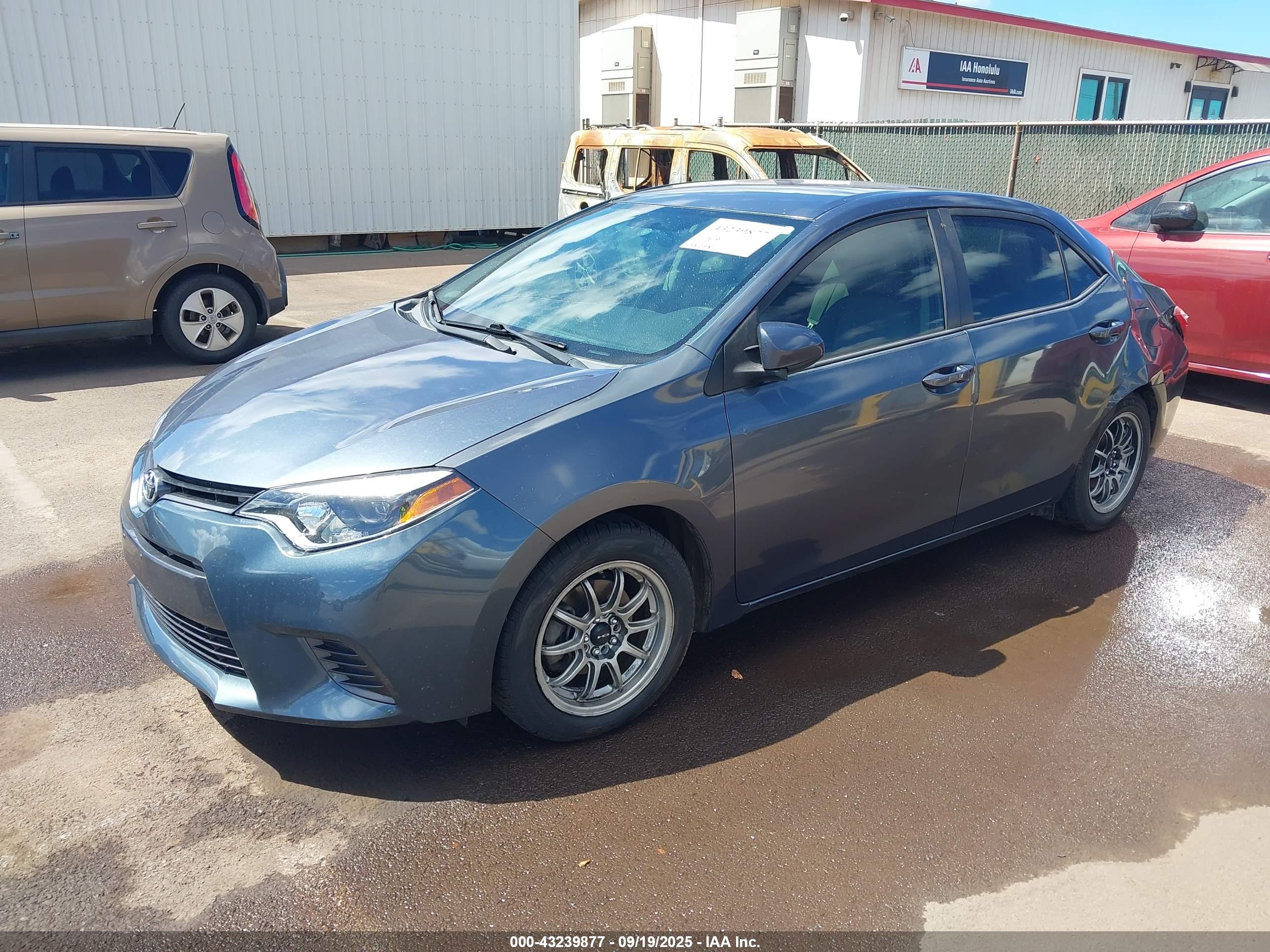 TOYOTA COROLLA image 2