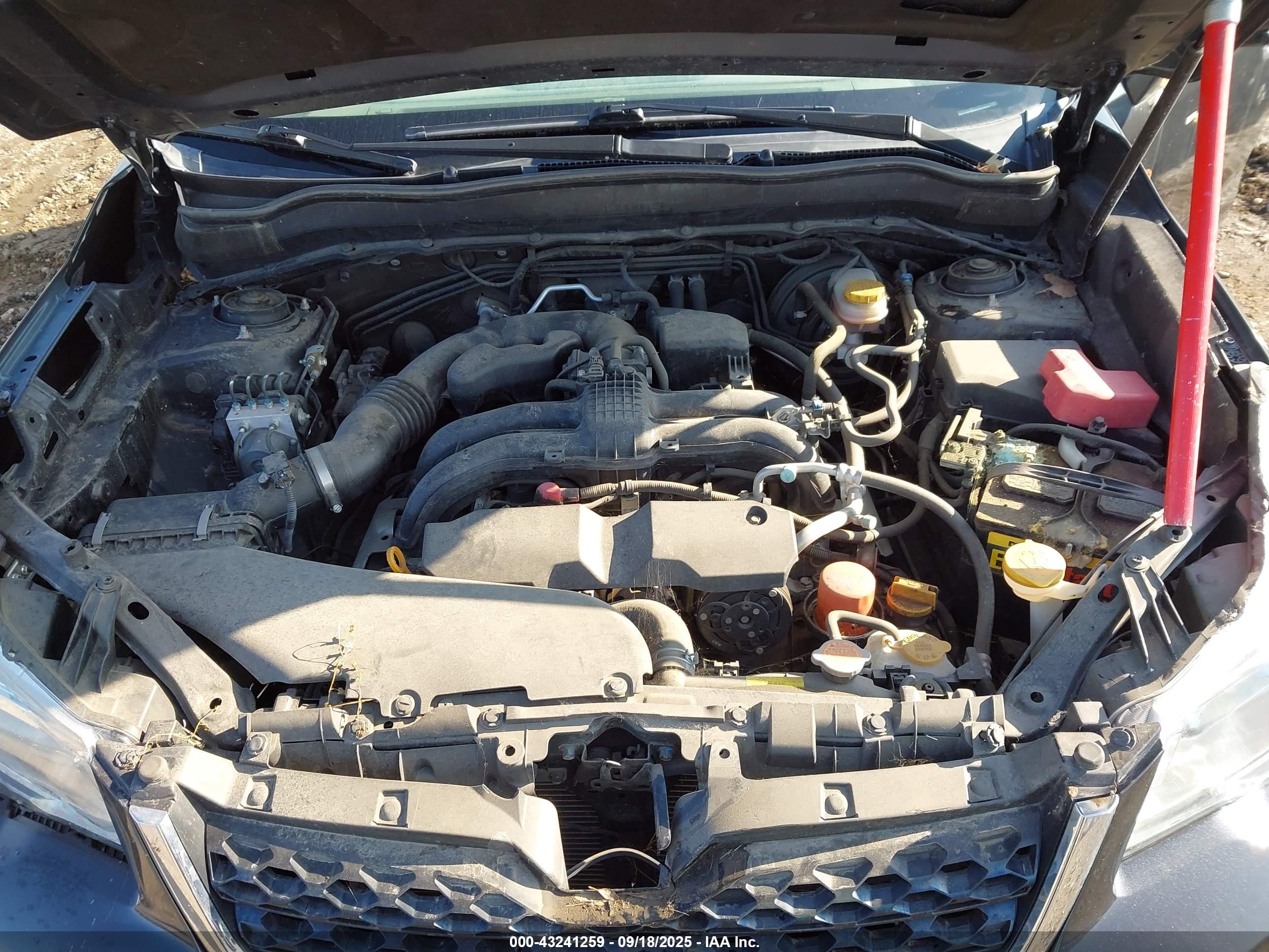 SUBARU FORESTER image 10