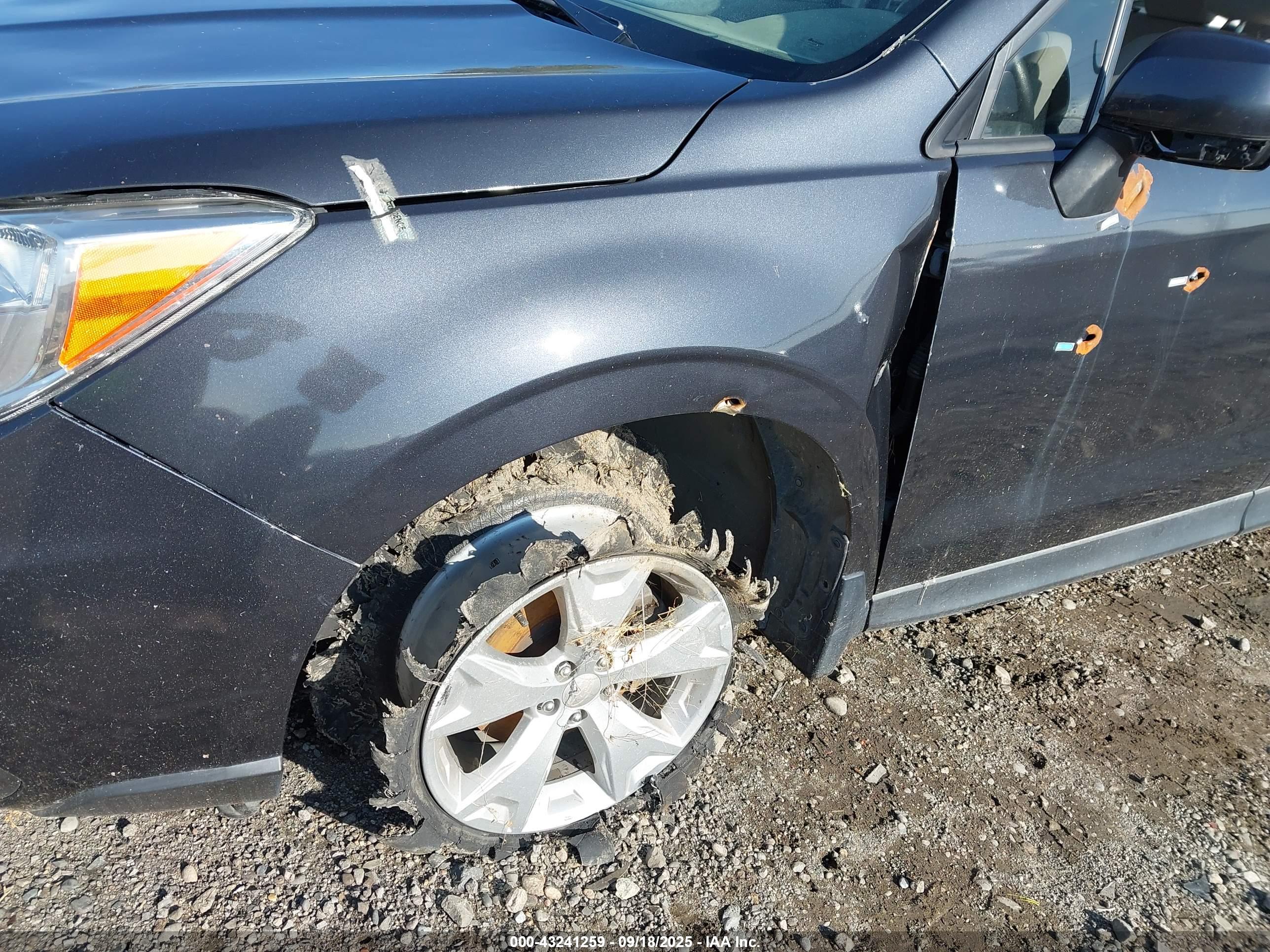 SUBARU FORESTER image 6