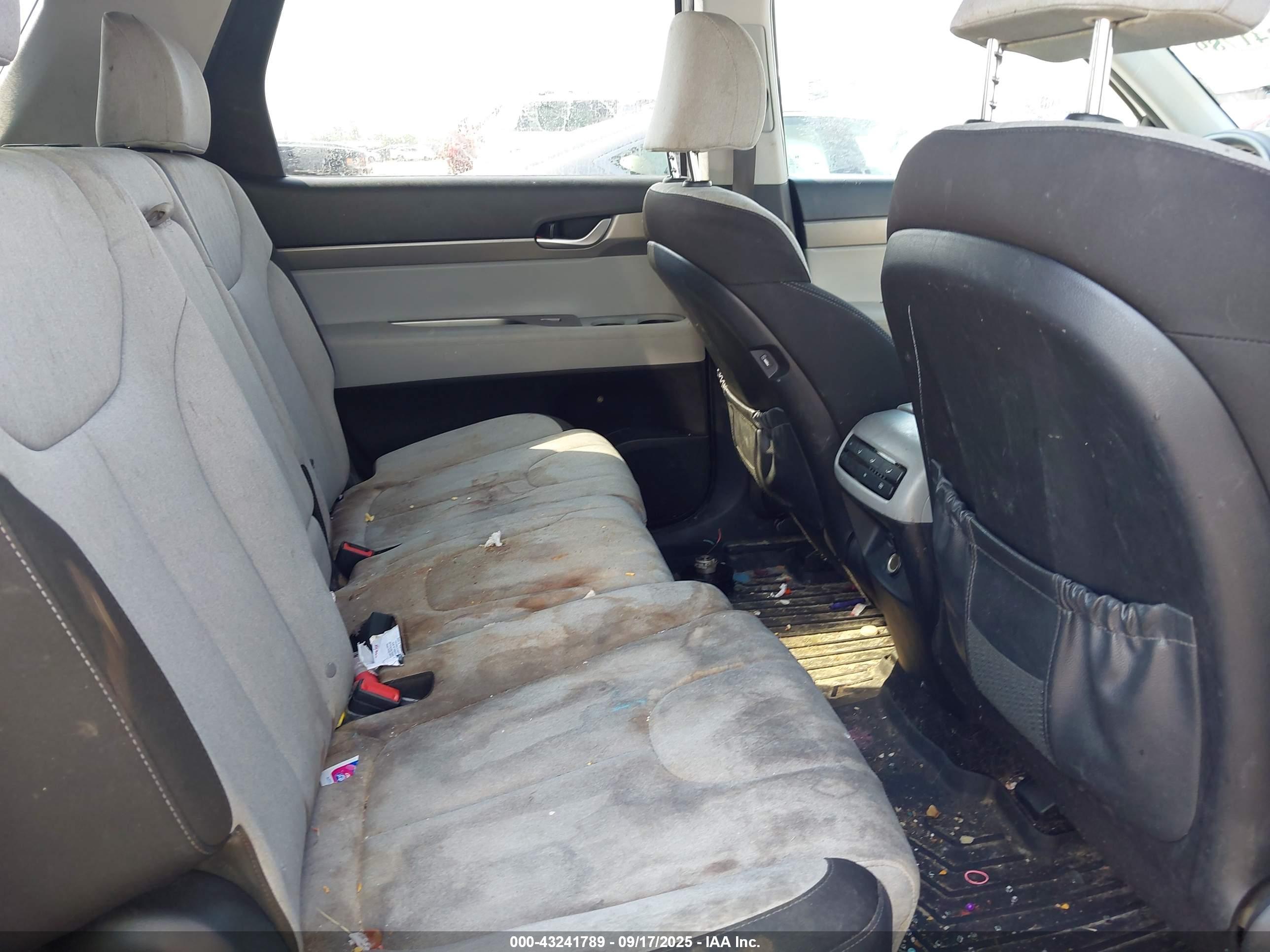 HYUNDAI PALISADE image 8