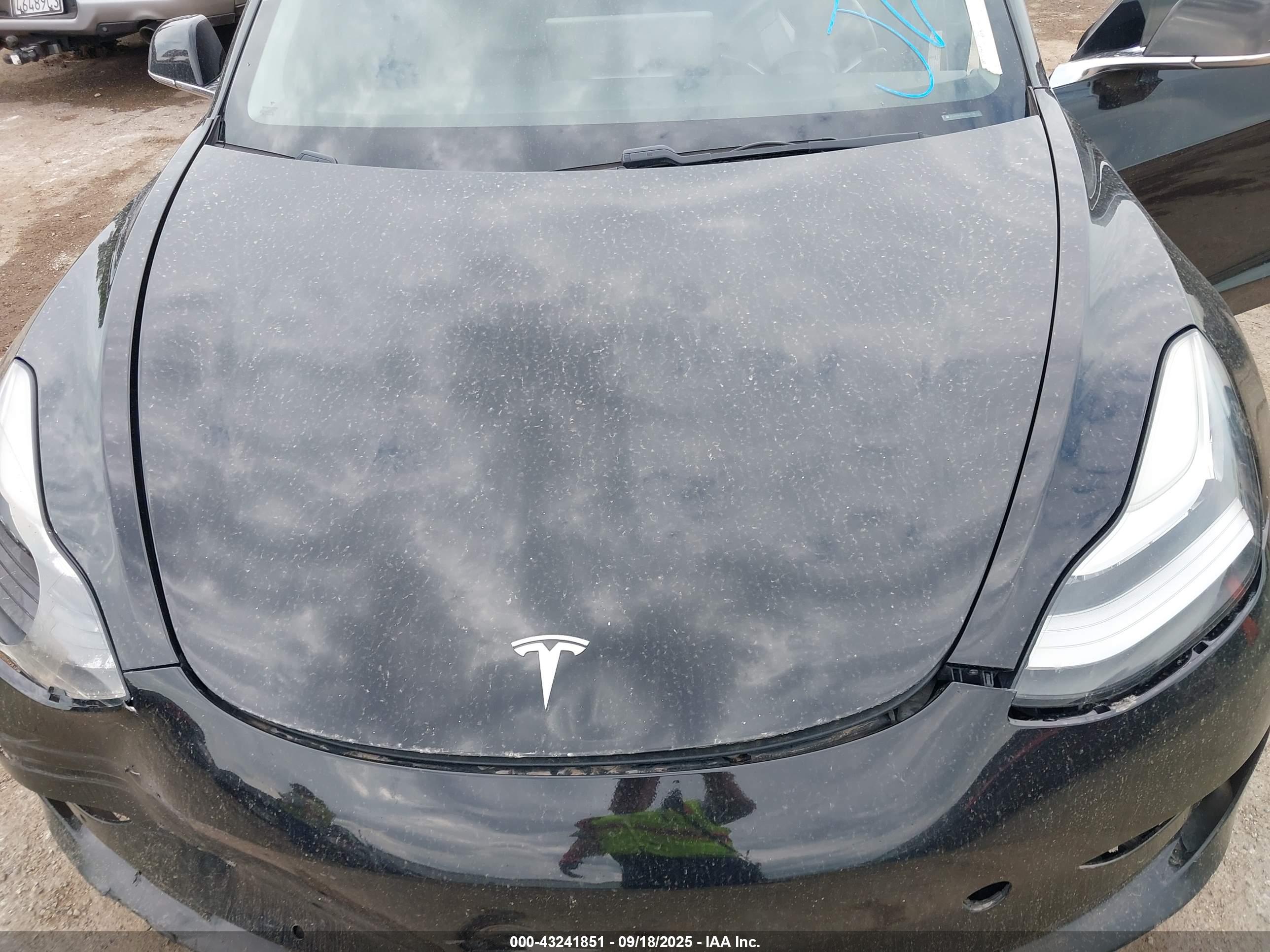 TESLA MODEL image 10