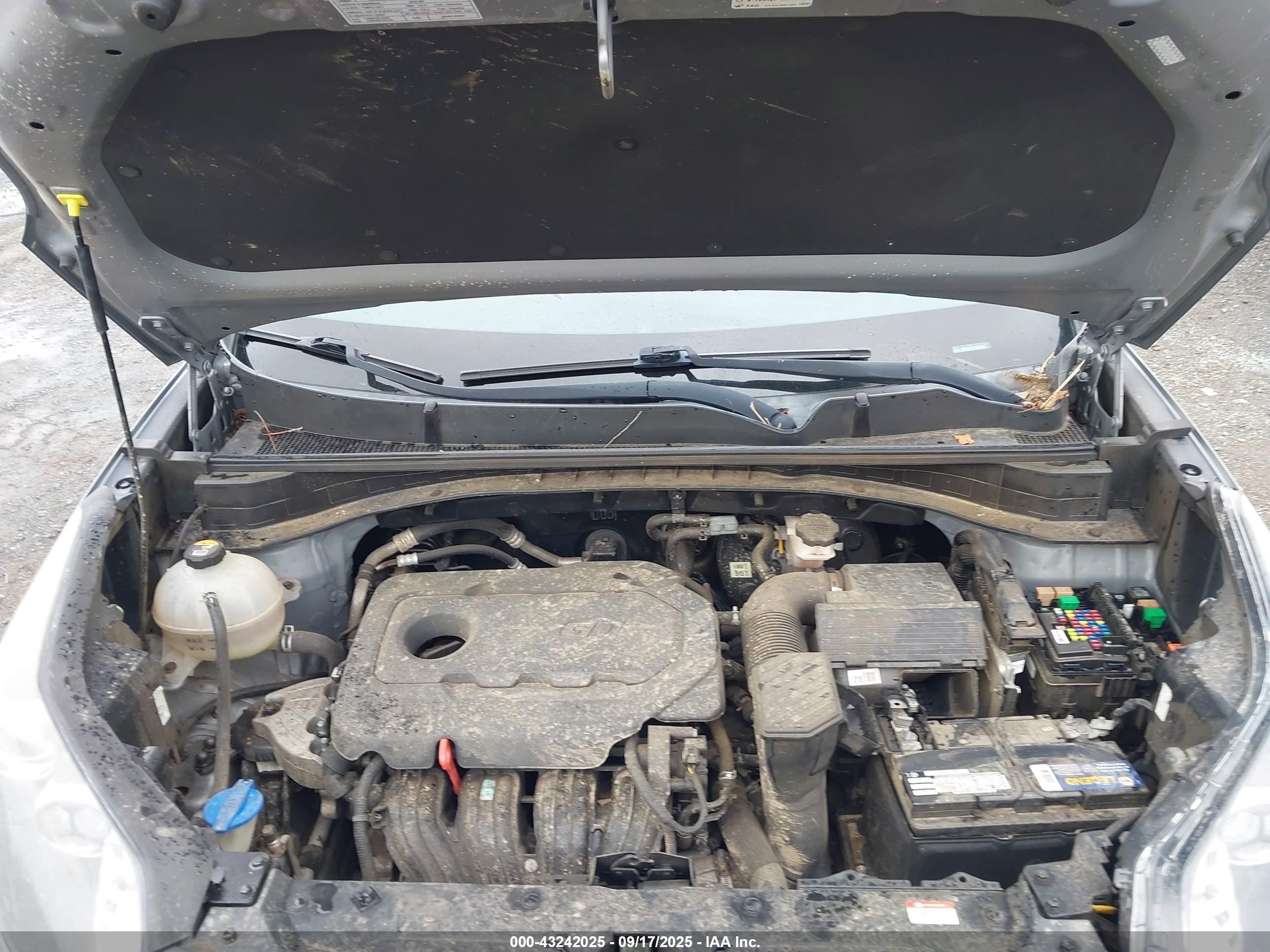 KIA SPORTAGE image 10