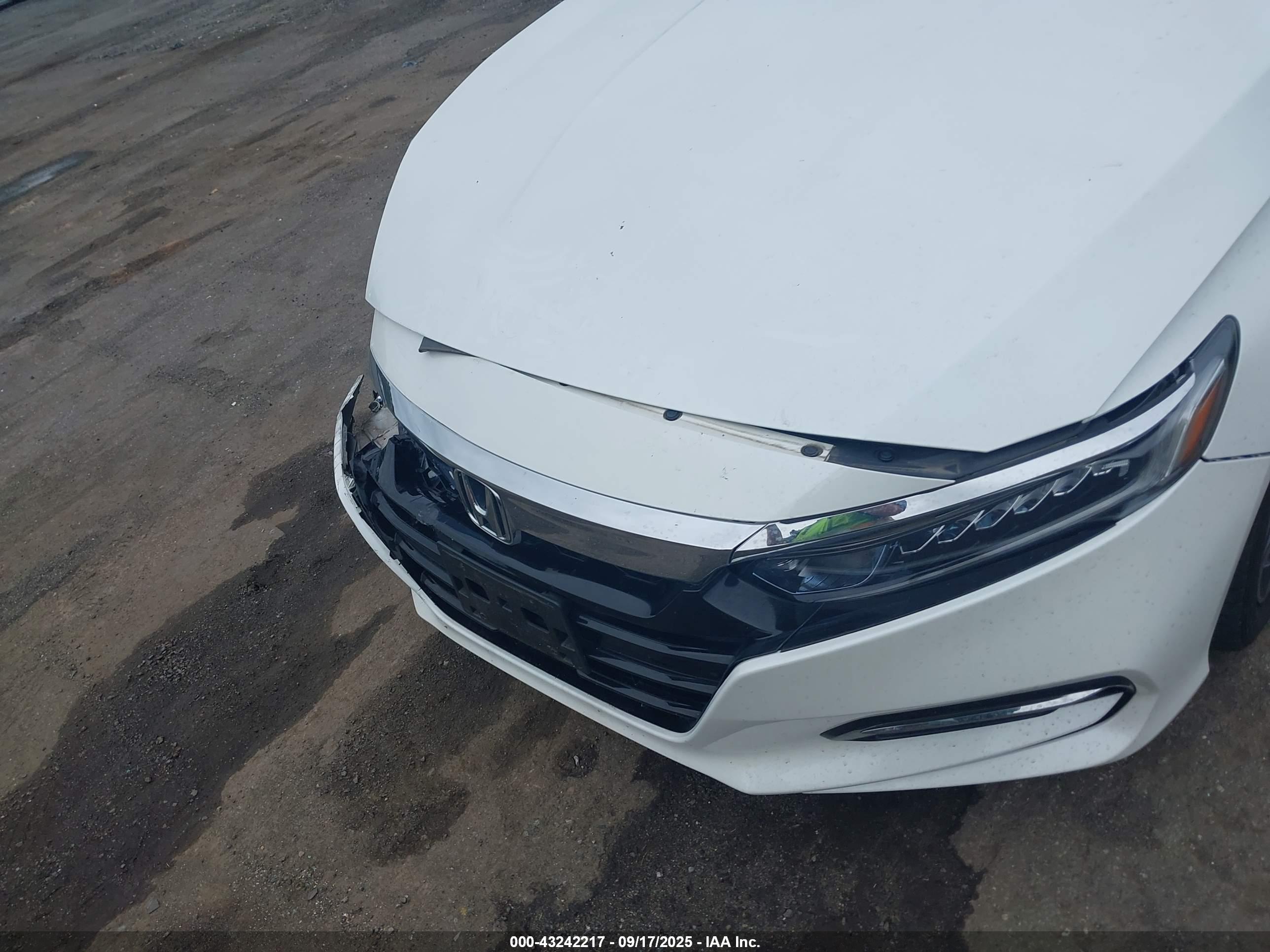 HONDA ACCORD image 6