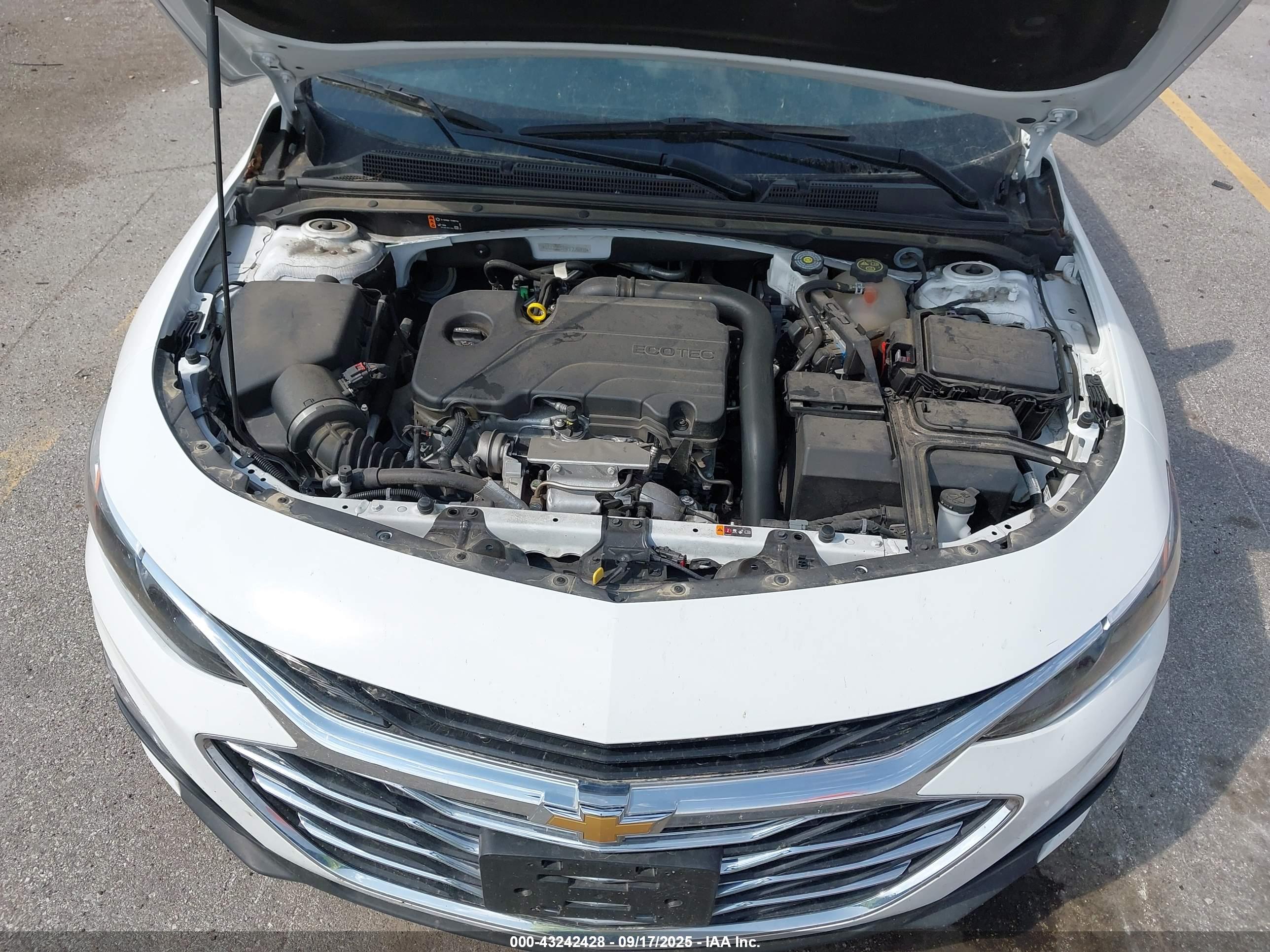 CHEVROLET MALIBU image 10