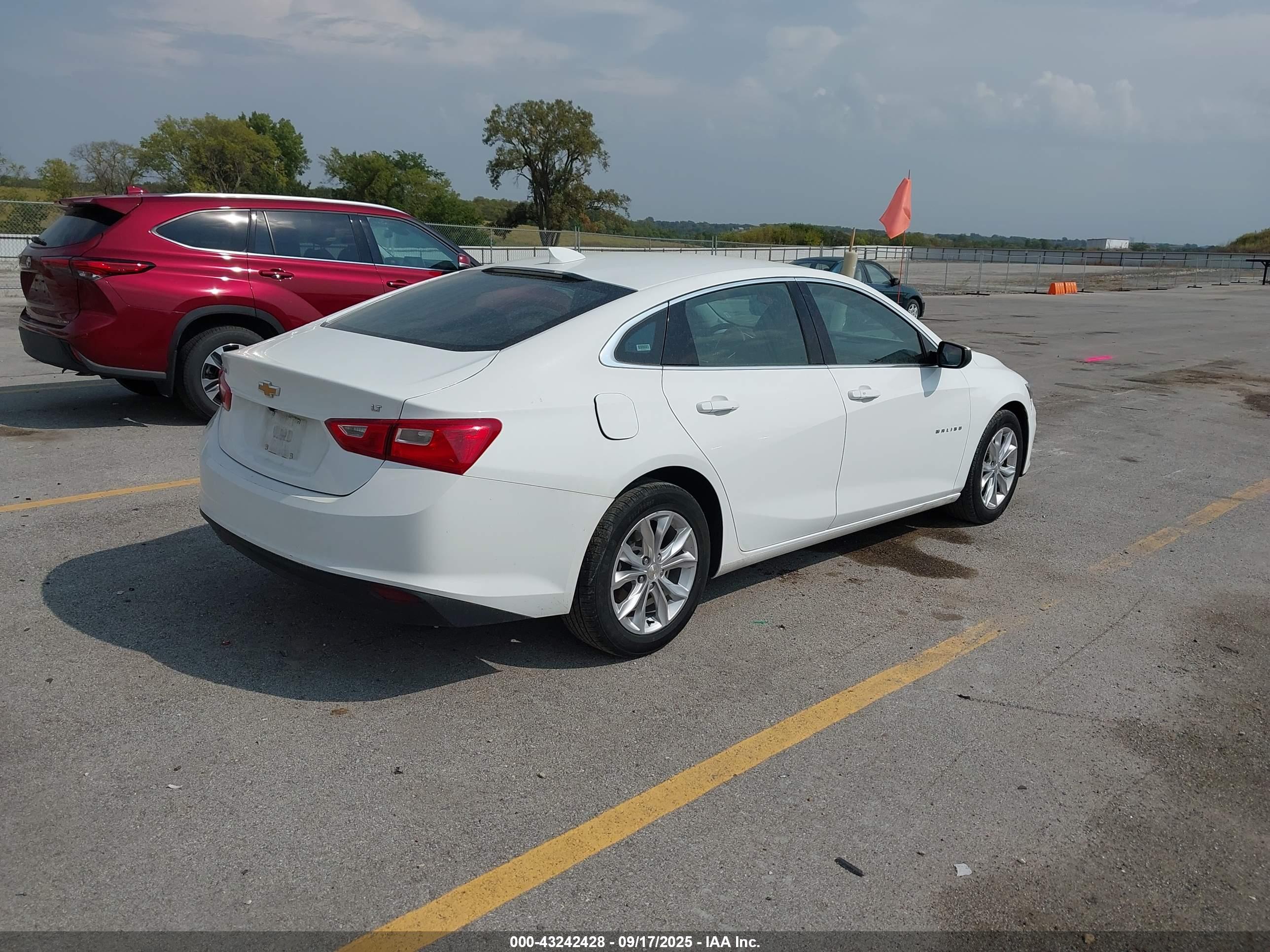 CHEVROLET MALIBU image 4