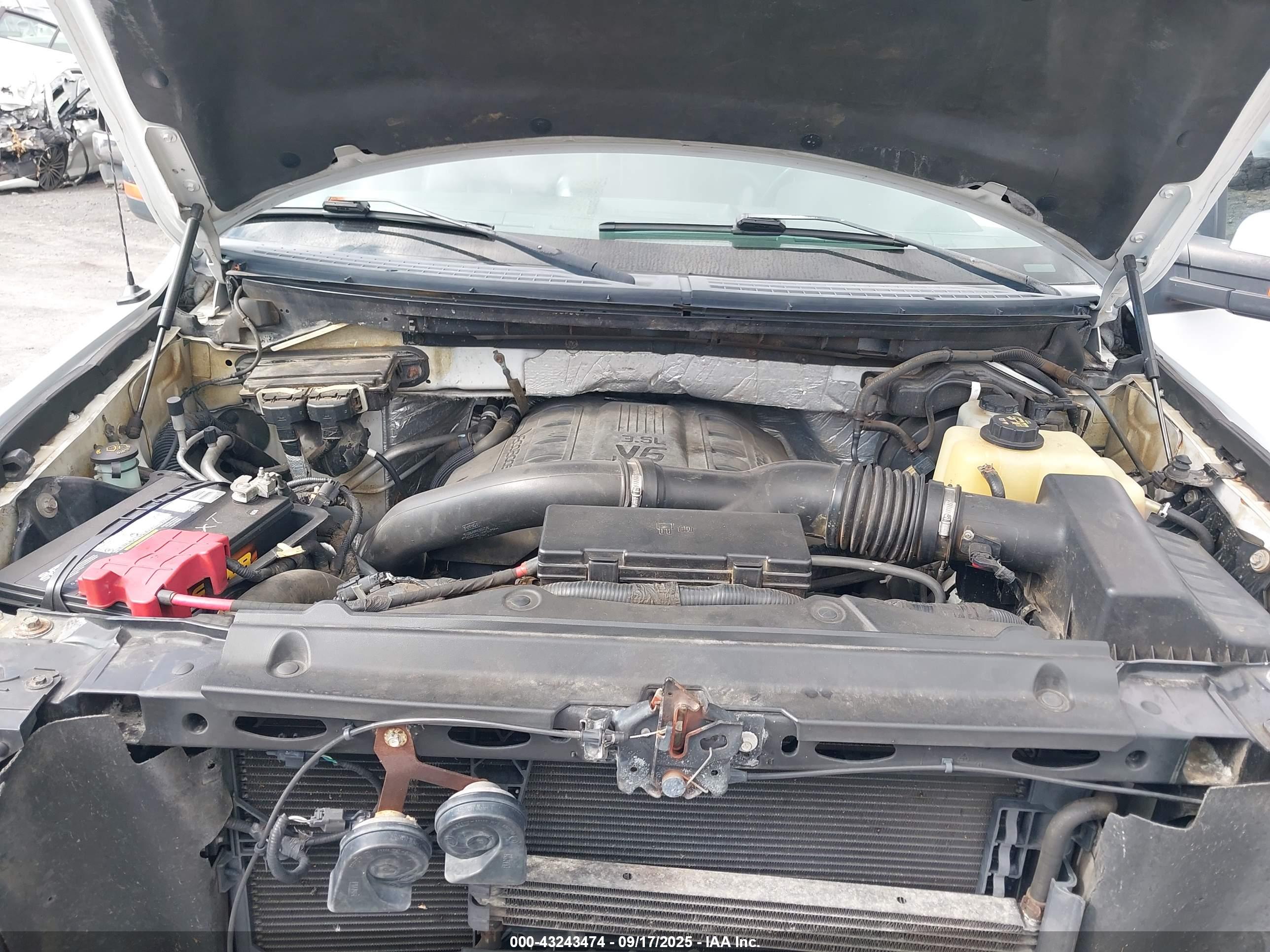 FORD F-150 image 10